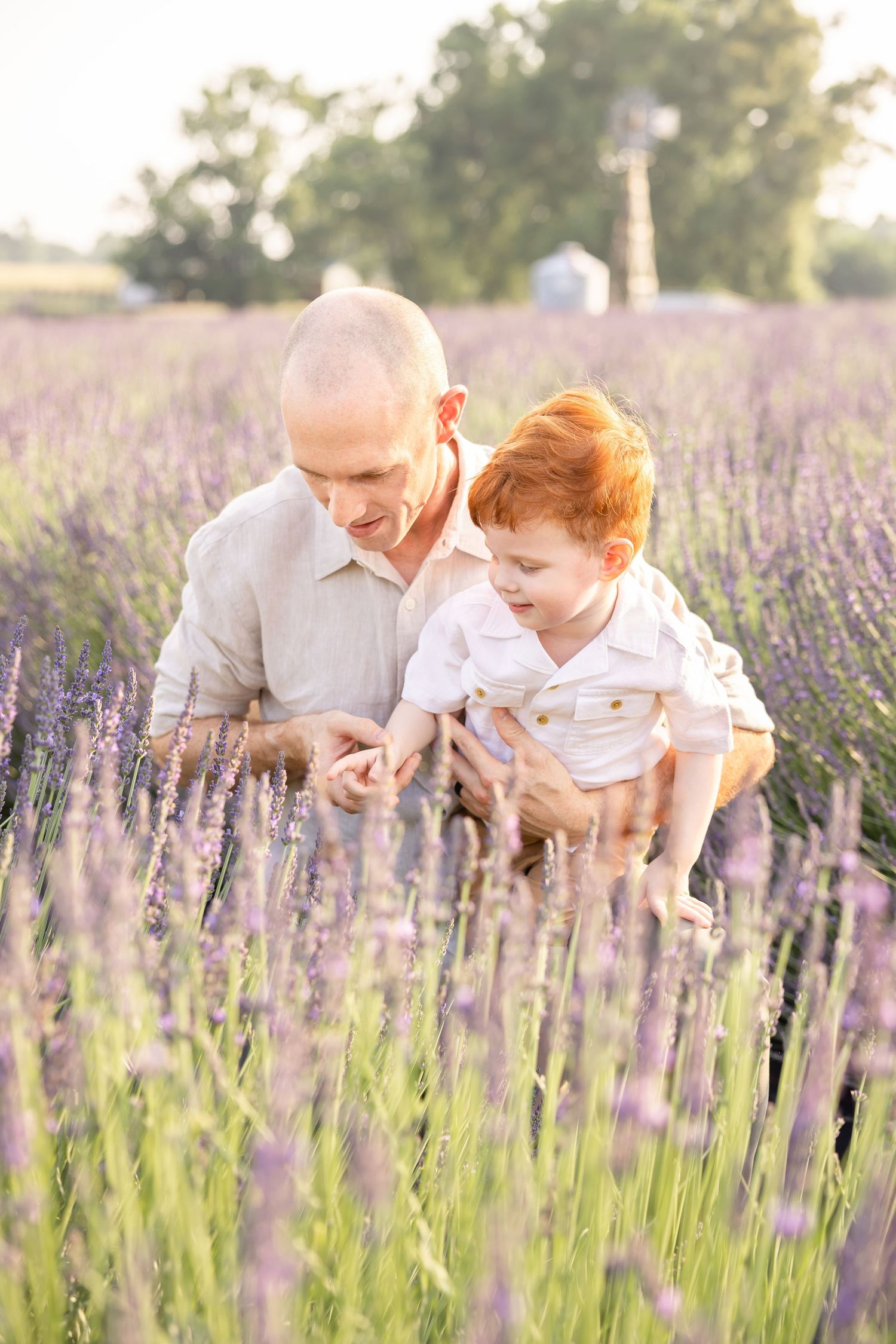 A bald man and a red-haired toddler boy explore blooming lavender fields together in warm golden sunlight.