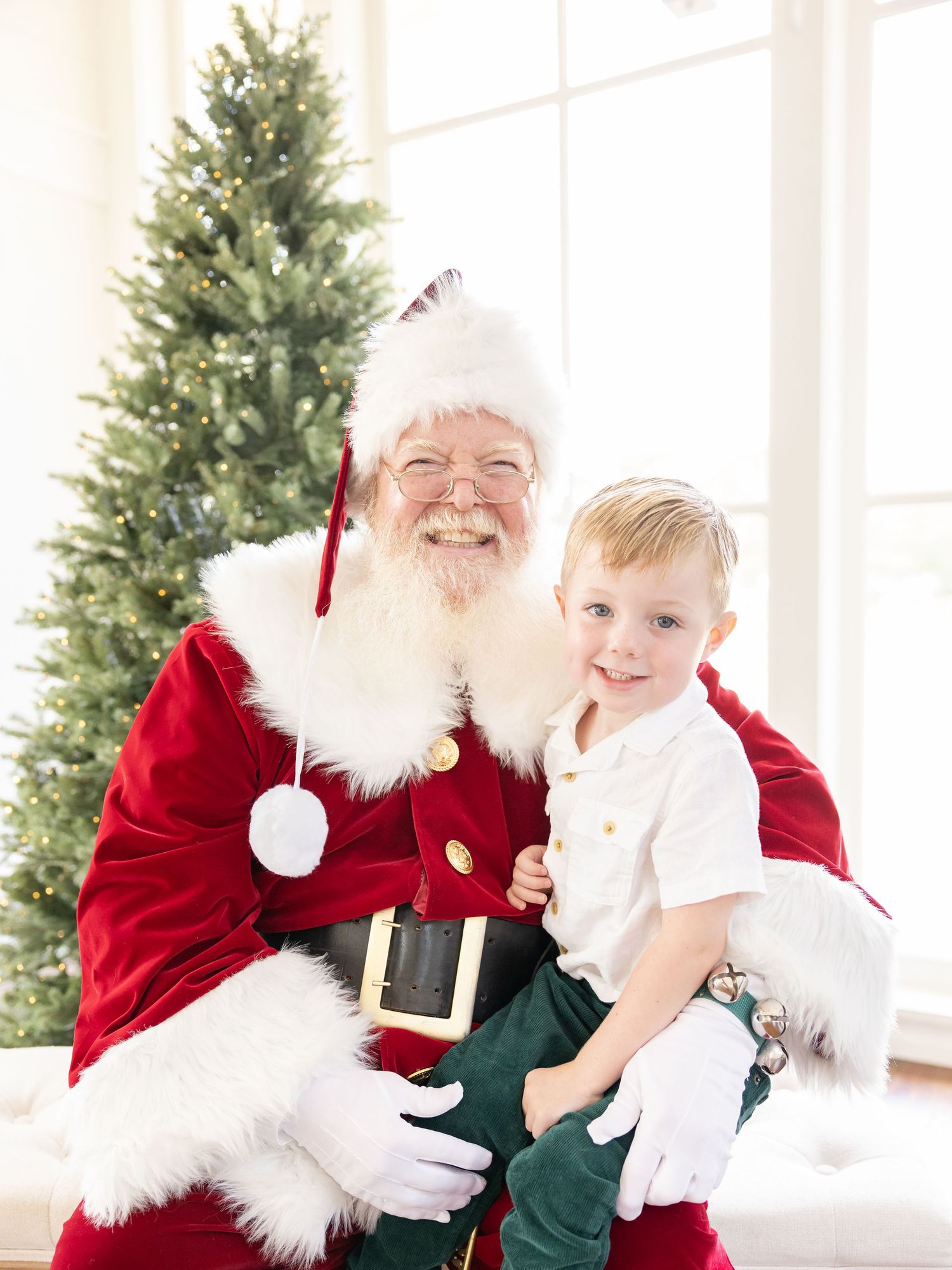 A festive holiday scene with evergreen trees and traditional Christmas decorations in a bright interior setting.