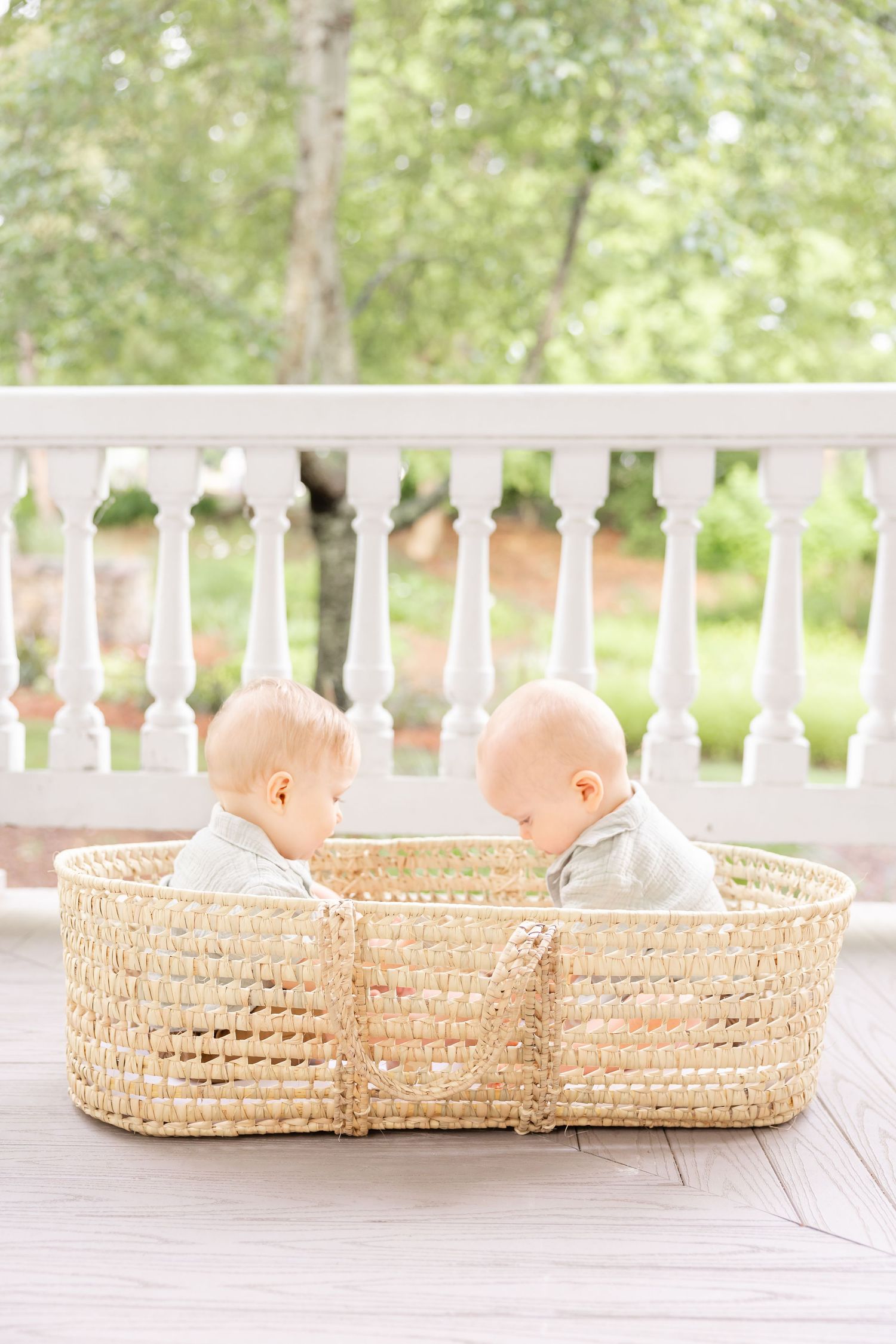 Two babies sitting together in a woven Moses basket on a white porch surrounded by greenery.