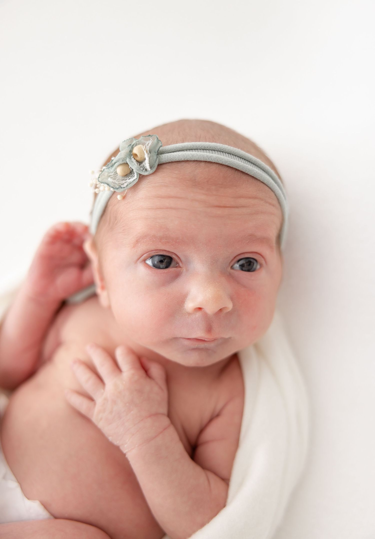 A newborn baby wrapped in white fabric wearing a delicate blue floral headband.