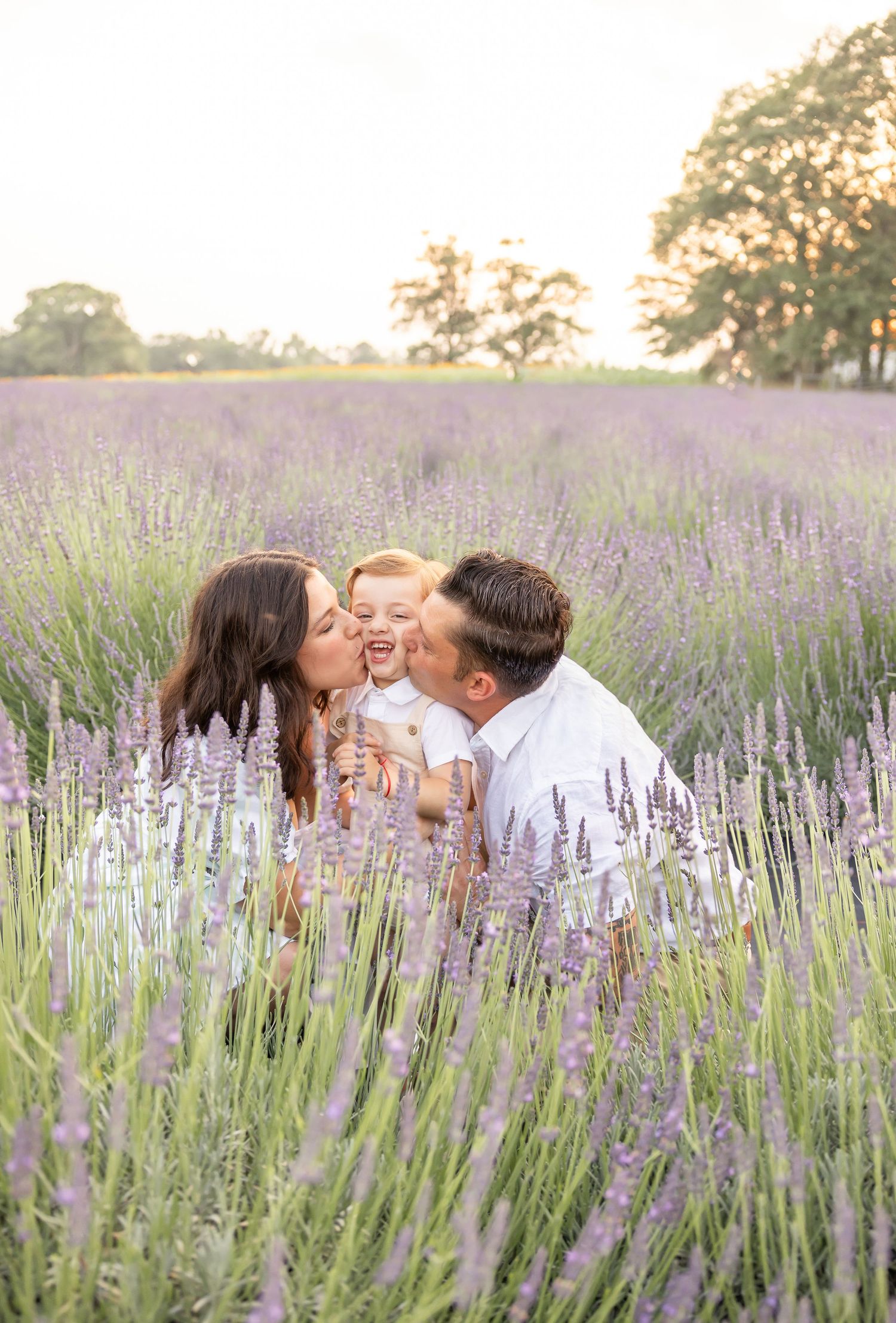 A couple kisses their laughing baby in a blooming purple lavender field during golden hour.