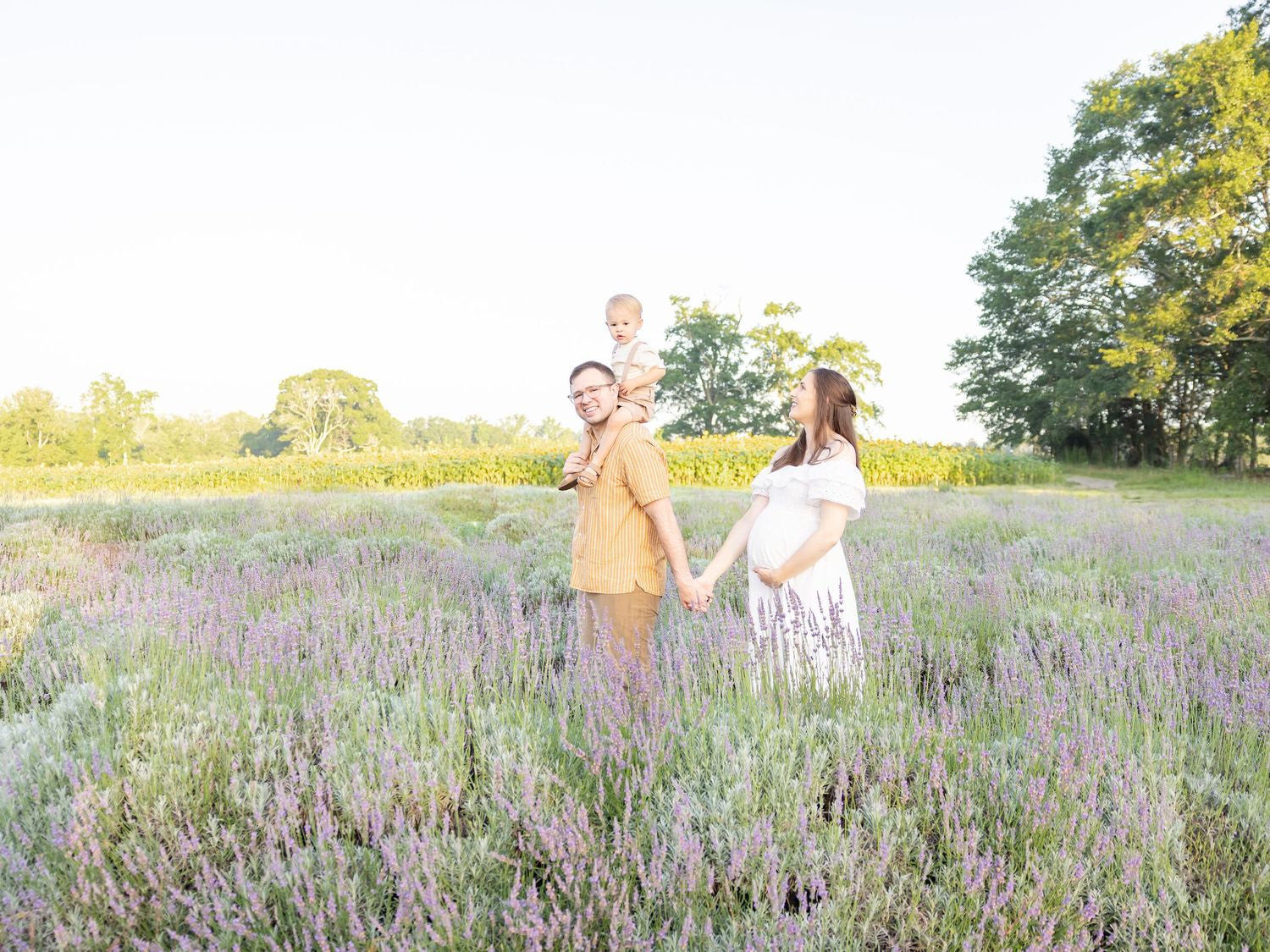 Family of three in a lavender field at golden hour, parents holding hands with toddler on dad's shoulders.