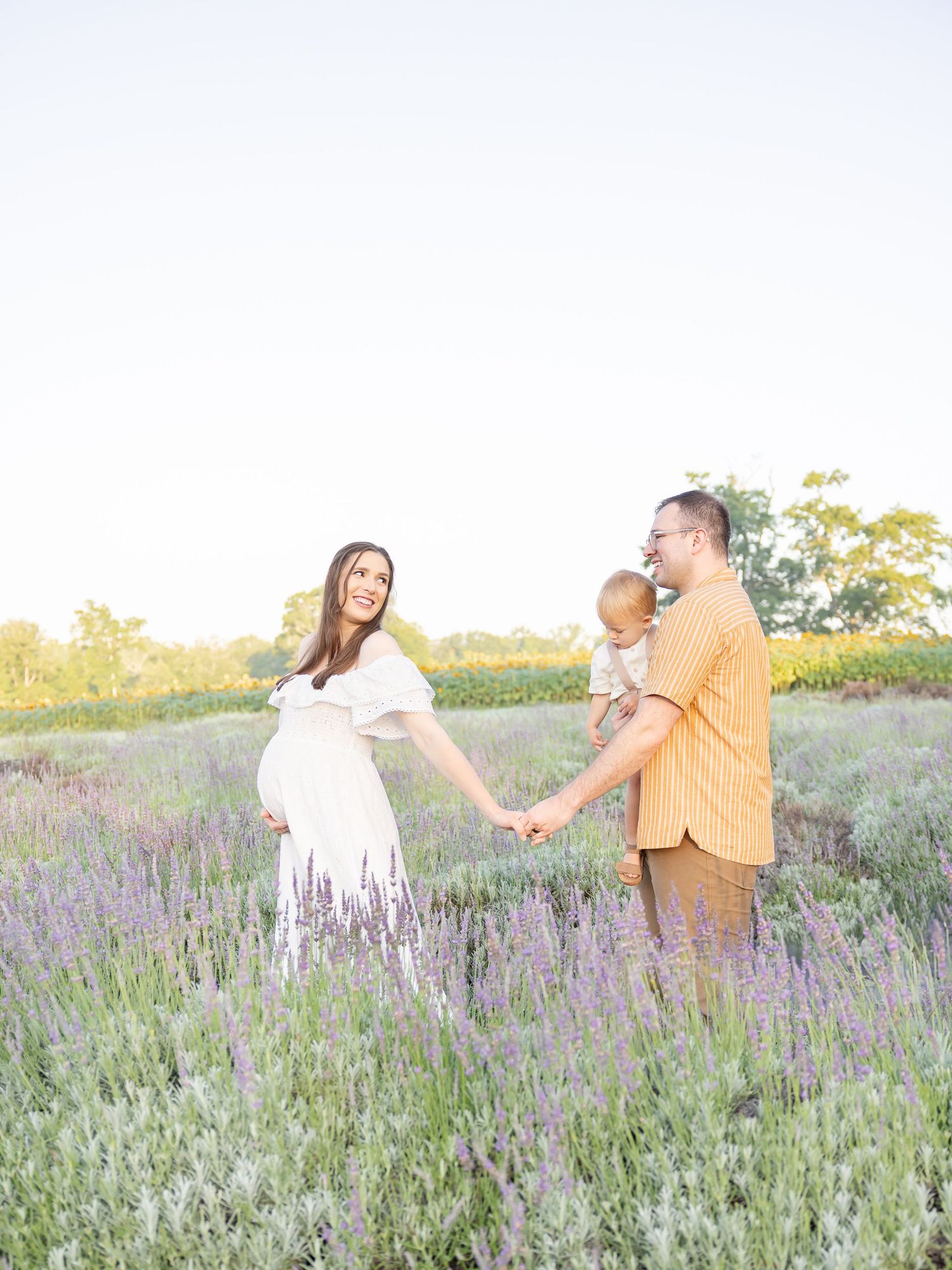 Pregnant woman in white dress holds hands with man in yellow shirt holding toddler in lavender field.