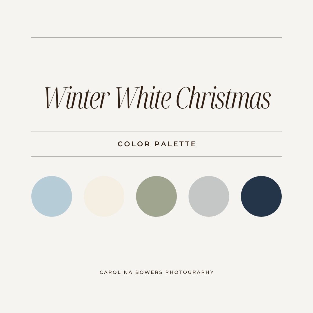 Winter White Christmas color palette with five circles in light blue, cream, sage green, silver gray, and navy blue.