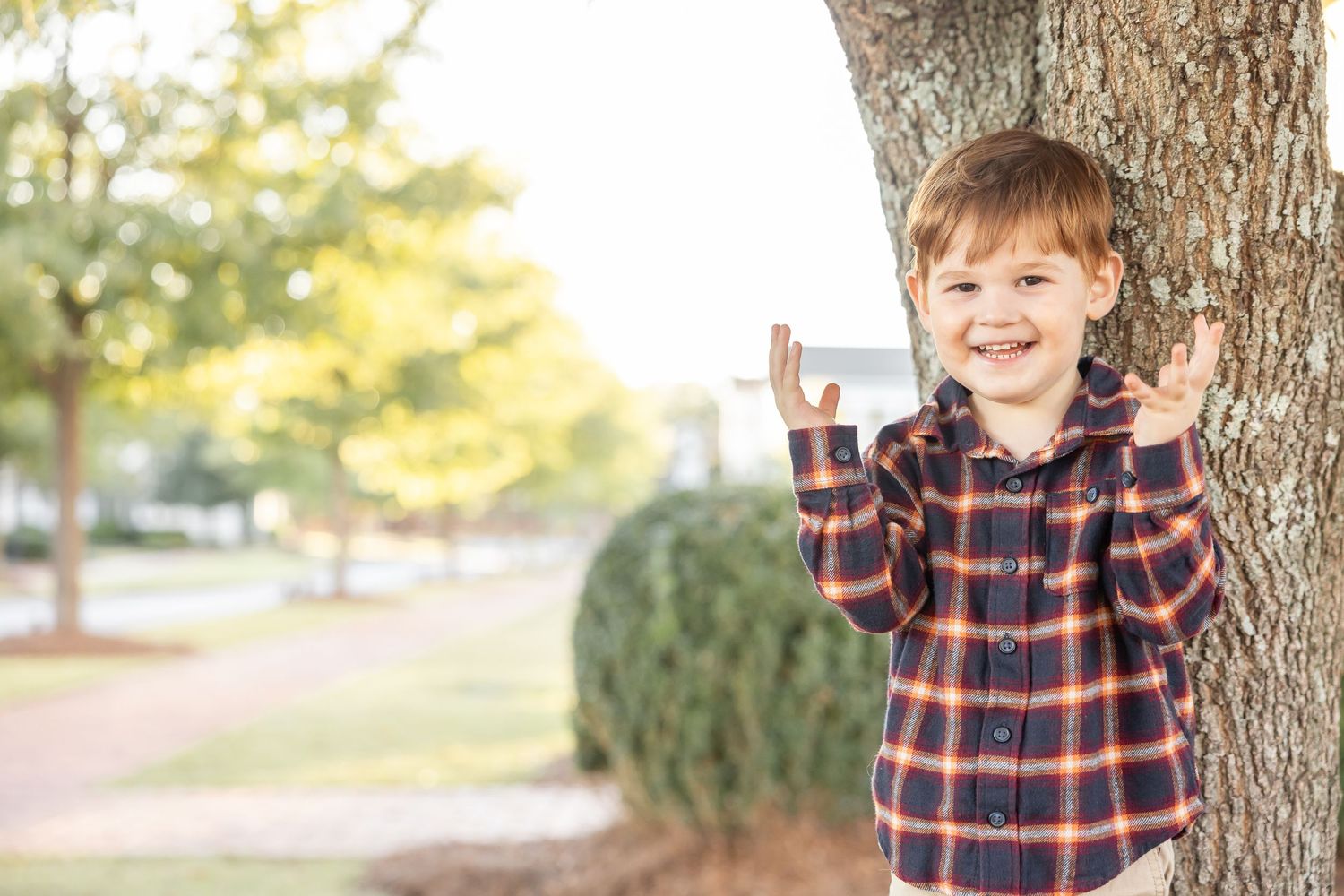 A playful scene with a little boy in a plaid shirt playing peek-a-boo in the golden sunlight at his family portrait session in Columbus, GA.