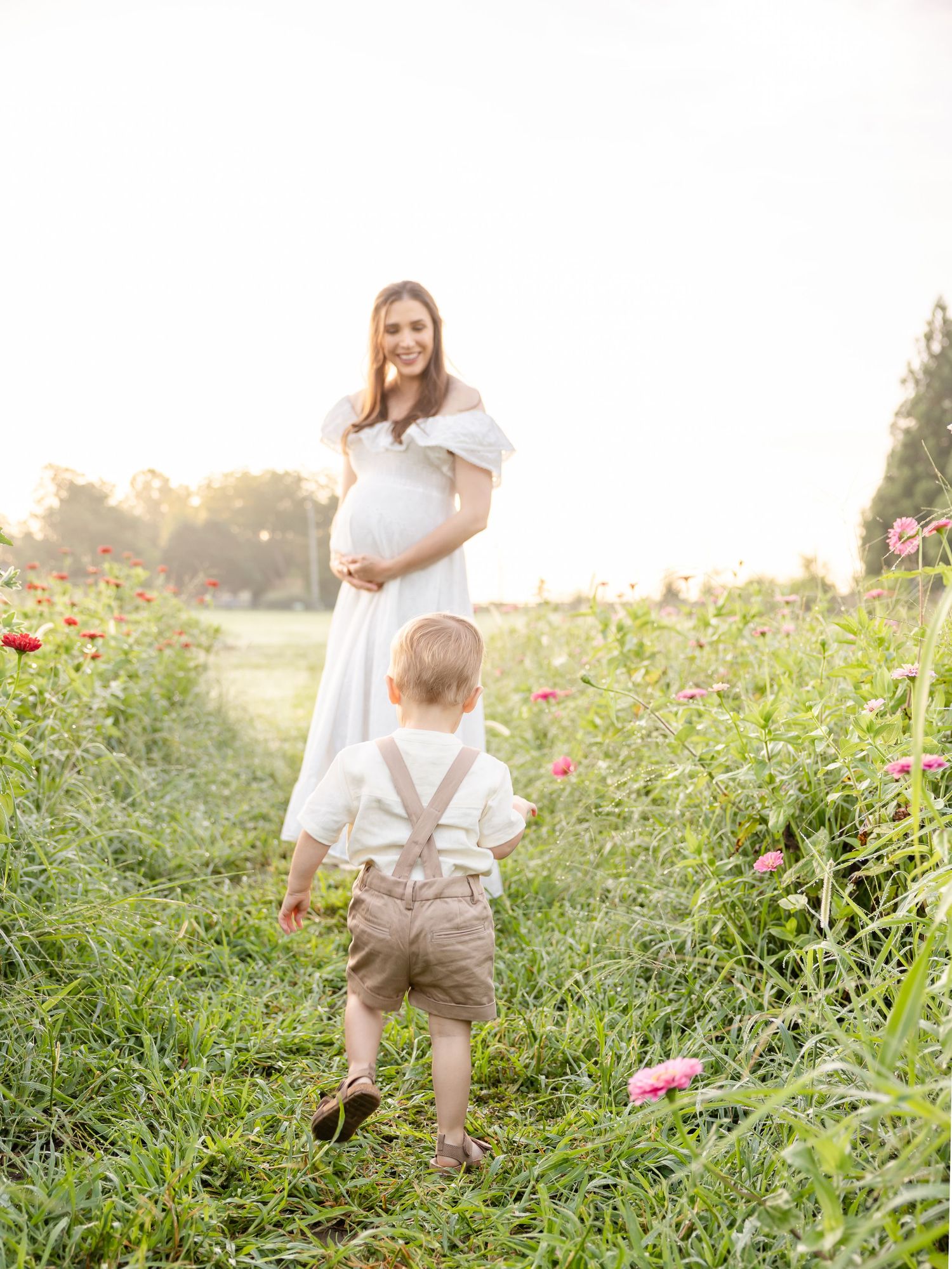 People walk through a beautiful flower garden at sunset with pink blooms and soft golden light filtering through the scene.
