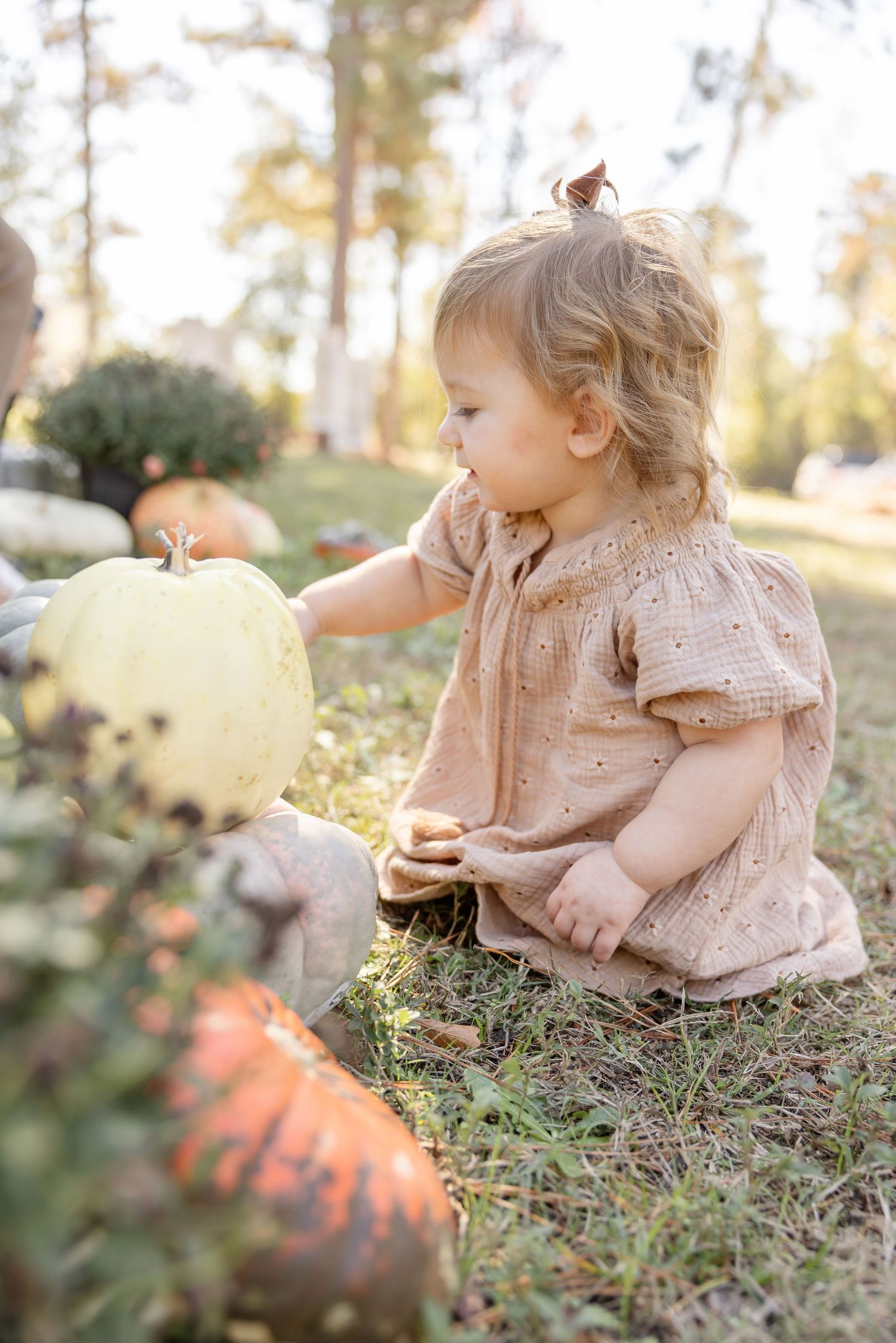 A toddler in a light brown dress sits on grassy ground during golden hour while reaching out to touch the pumpkins.