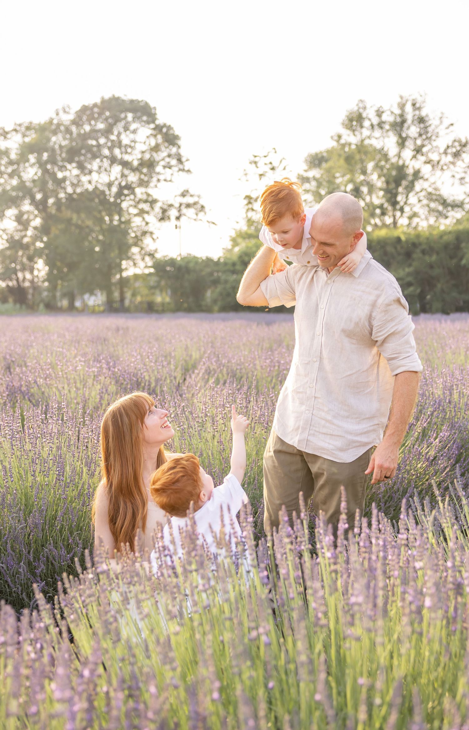 Family enjoying a beautiful summer evening together in a blooming purple lavender field at sunset.