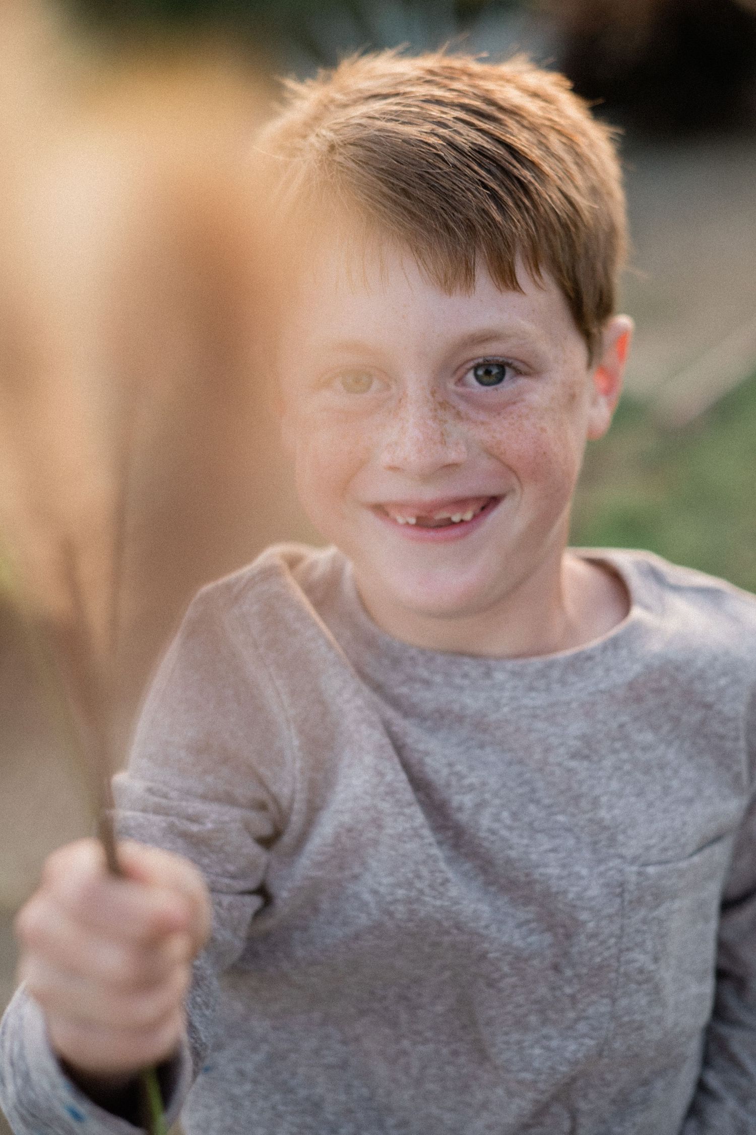 Smiling freckled red-haired boy in gray sweatshirt holding a dried grass stem outdoors in warm light.