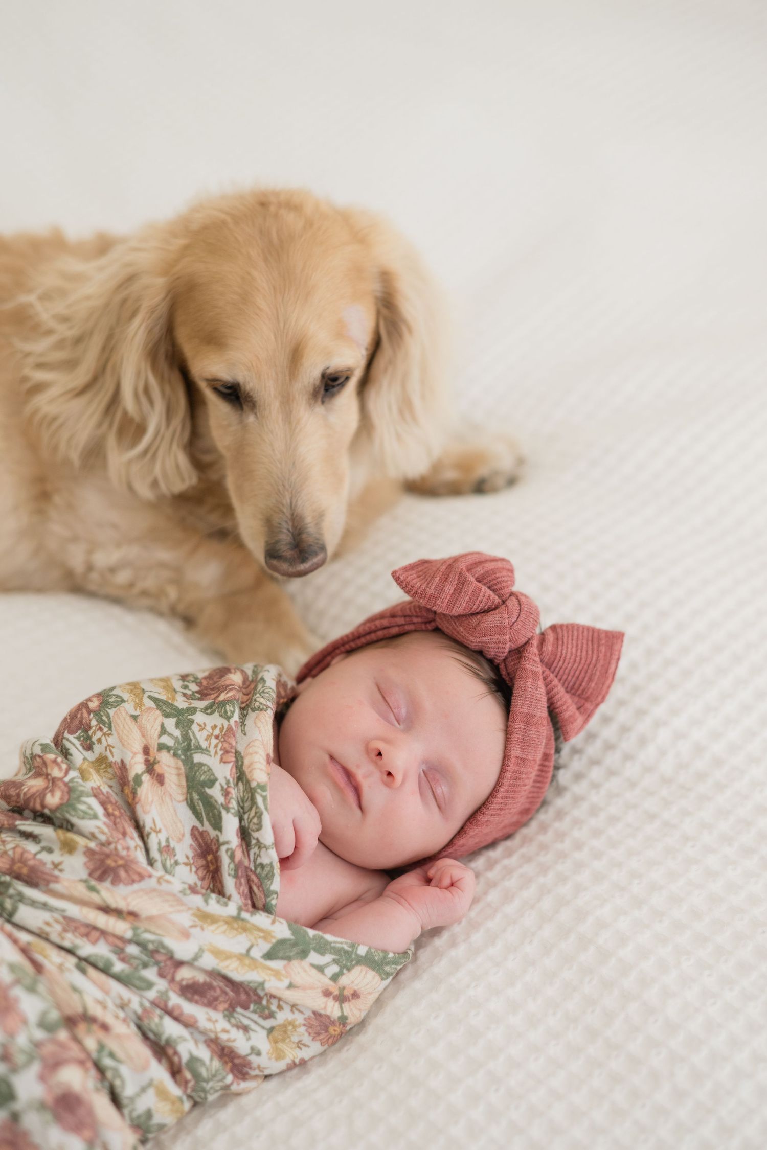 Sleeping newborn baby swaddled in floral wrap with pink bow headband beside a gentle Golden Retriever on white blanket.