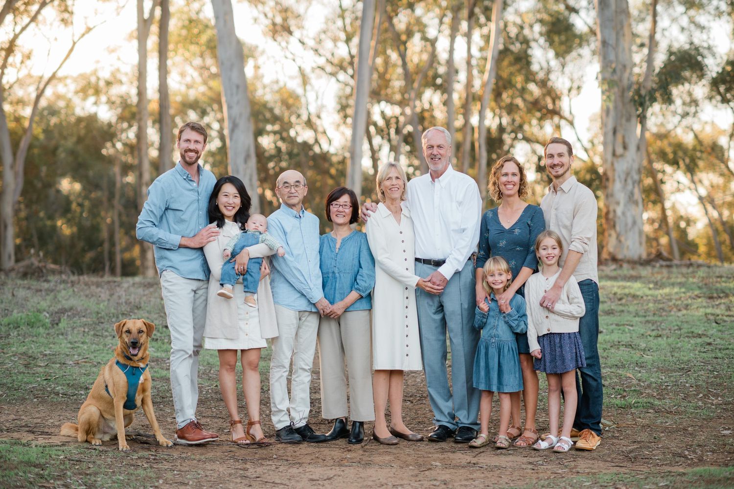 Multi-generational family portrait outdoors with tall eucalyptus trees, featuring adults, children, and a golden dog.