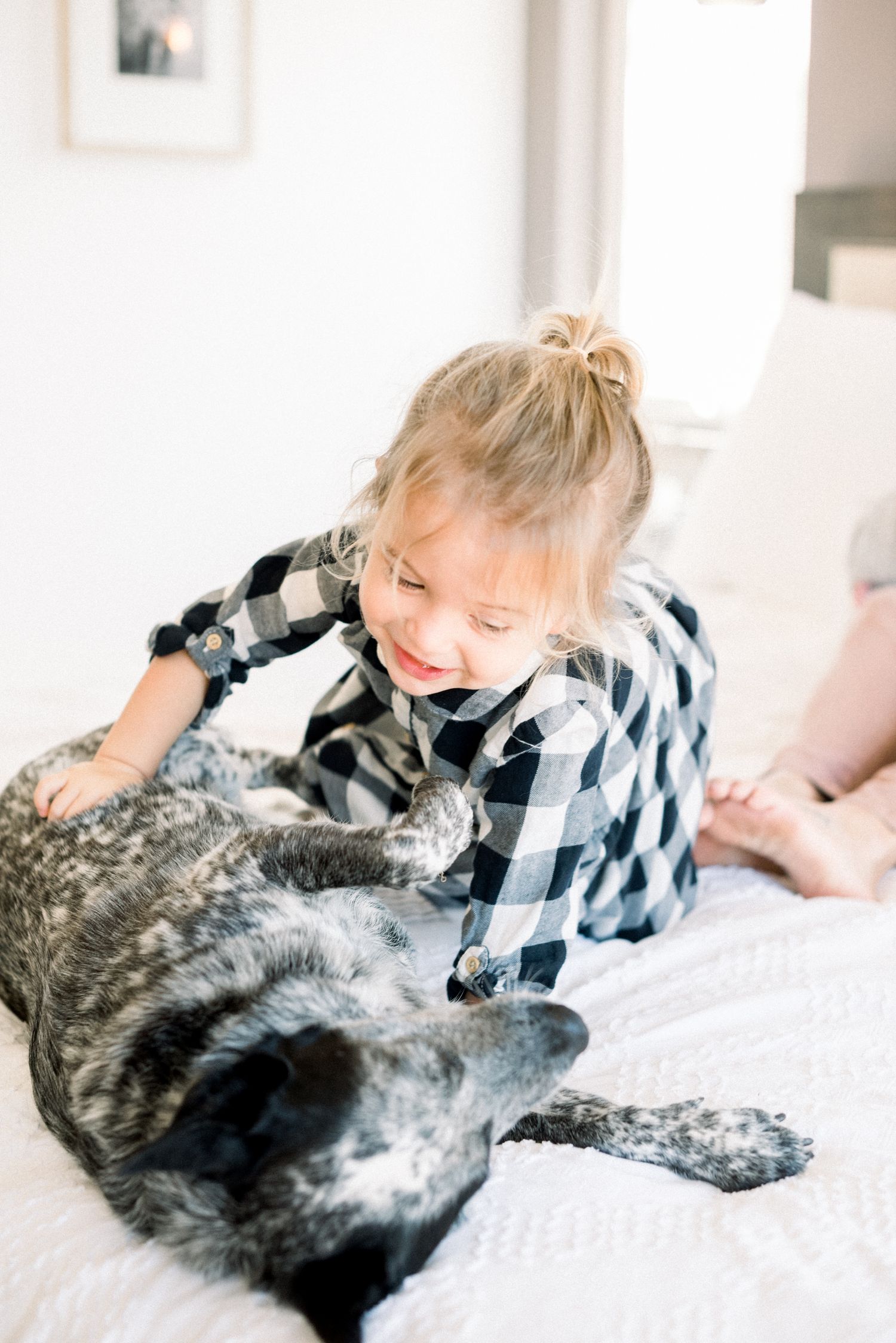 Young girl in plaid shirt smiling while petting a gray and black dog lying on a white bed.