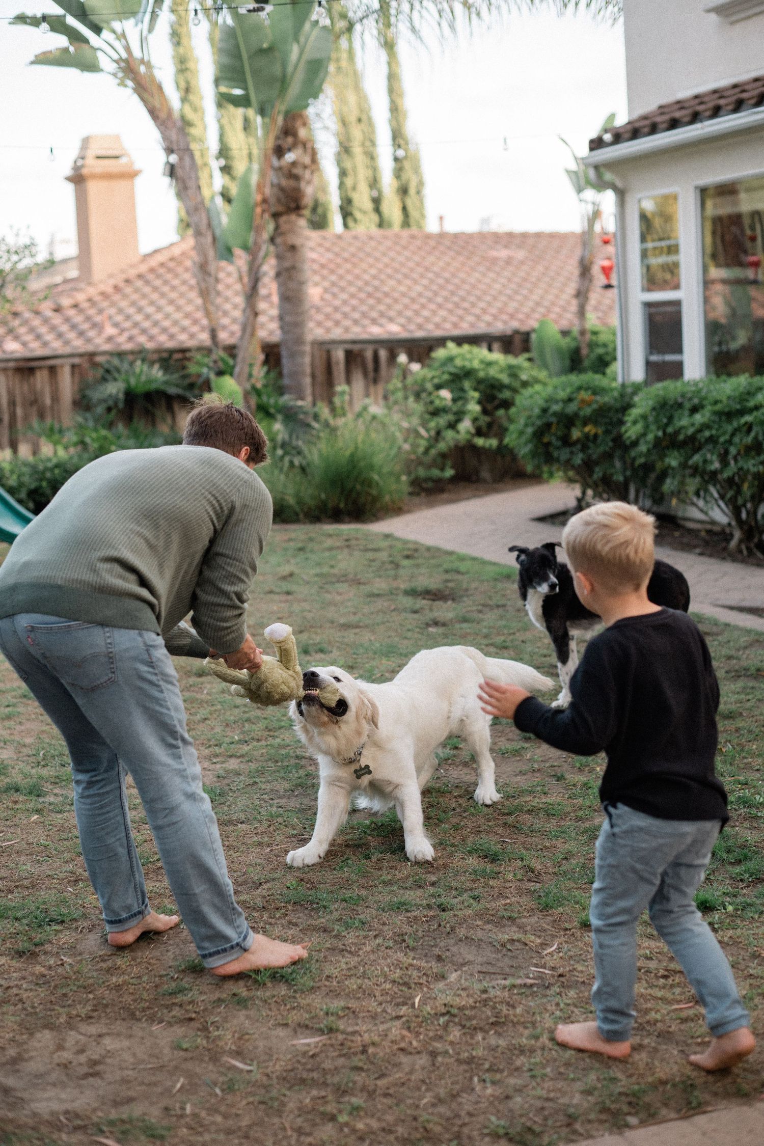 A man and young blonde boy play with two dogs in a sunny suburban backyard surrounded by tropical plants.