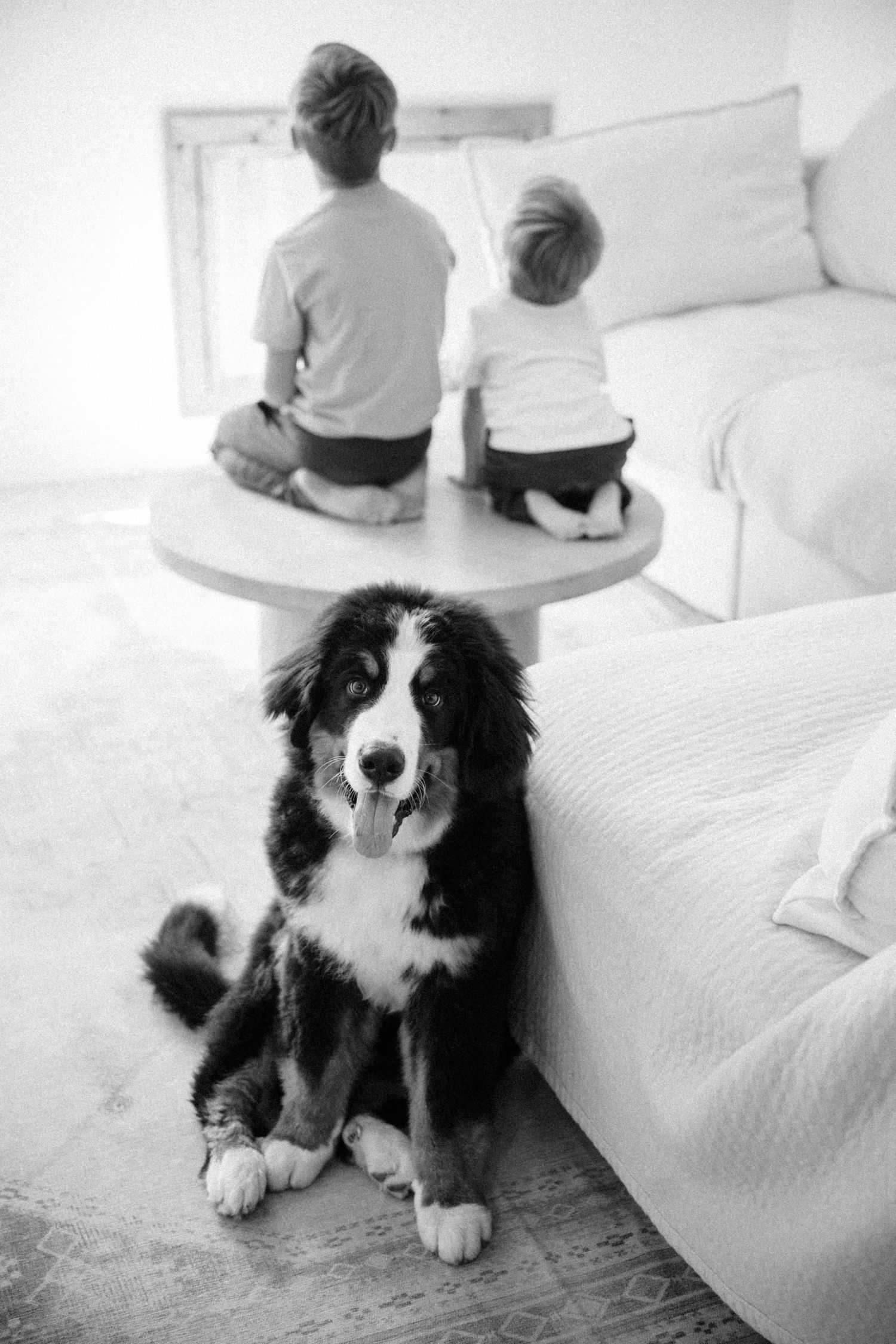 Bernese Mountain Dog sits in foreground while two boys play at a table.