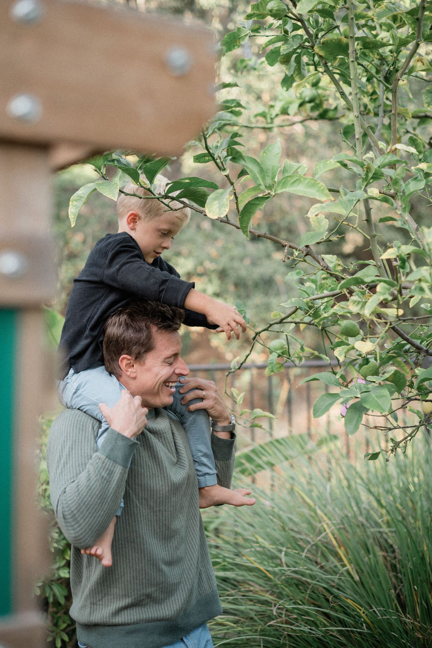 A smiling father carries his young son on his shoulders as the boy reaches to touch green tree branches outdoors.