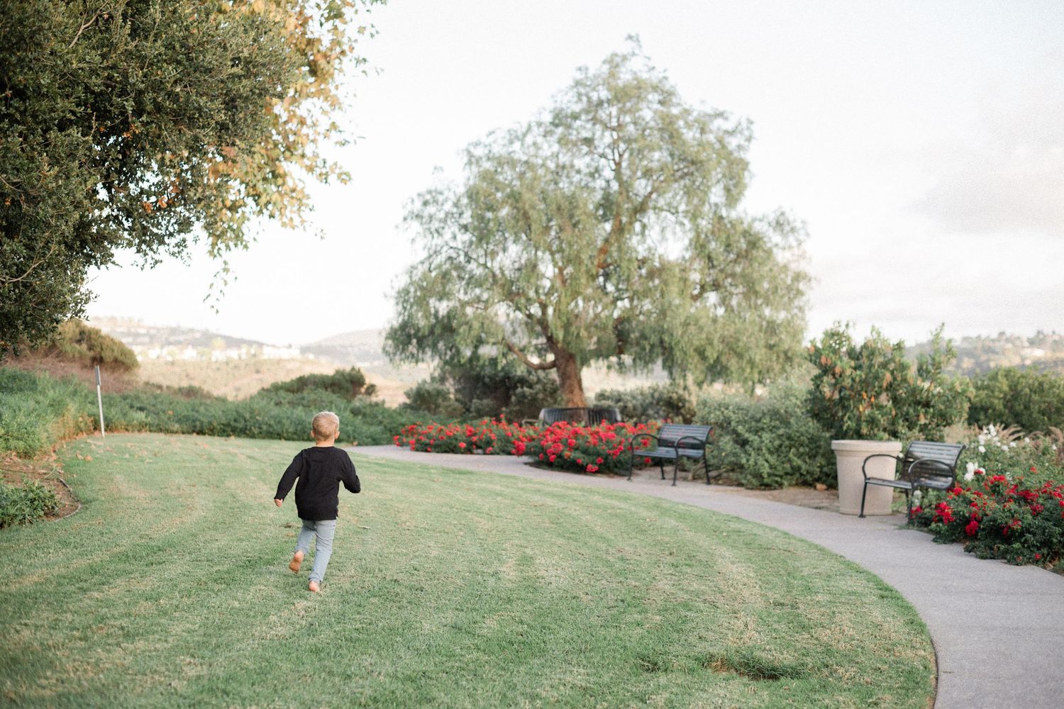A child runs along a curved garden path surrounded by lush green grass, red flowers, and a willow tree.