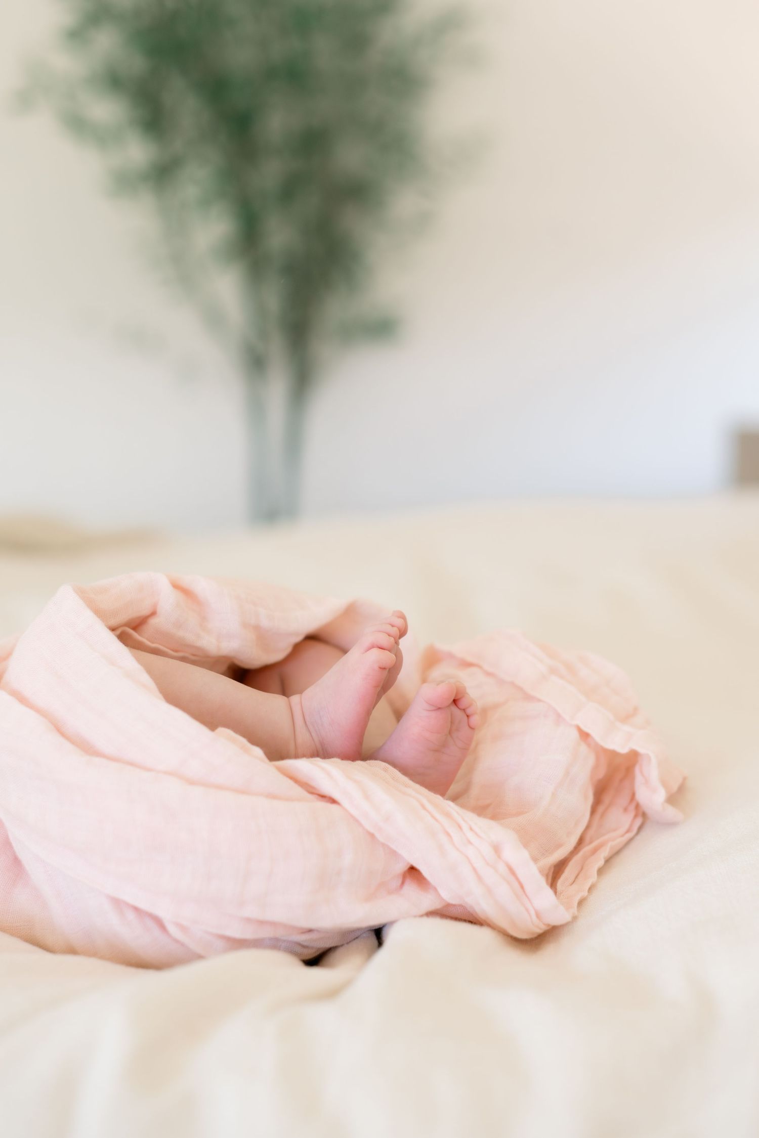 Close-up of newborn baby tiny feet peeking out of soft pink muslin swaddle on cream bedding.