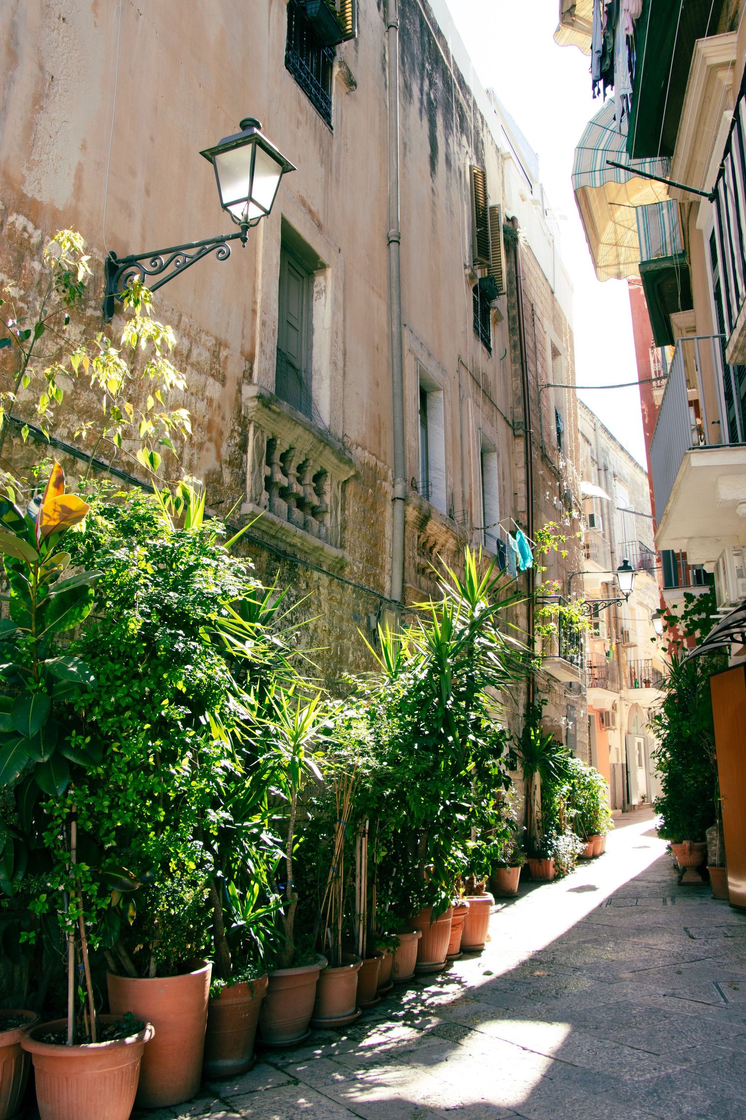 Charming narrow alley in Mediterranean town with potted plants and vintage street lamp along stone walls.