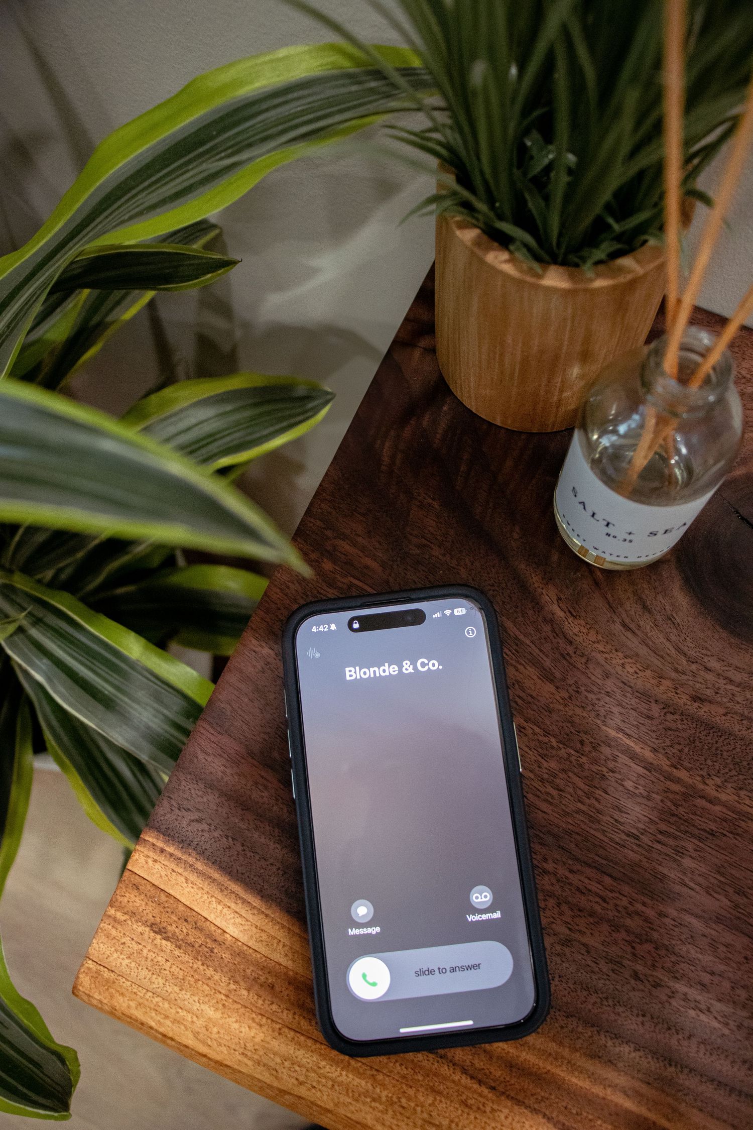 Smartphone displaying Blonde & Co app on wooden table with houseplants in background.