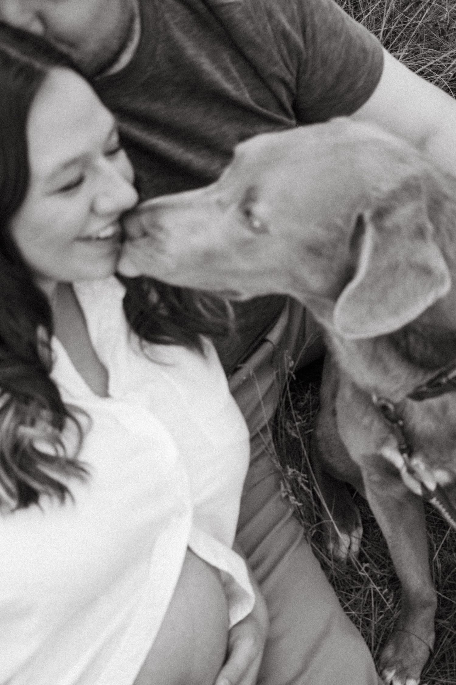 A series of black and white photos showing tender kisses between a woman in white and a dog on grass.