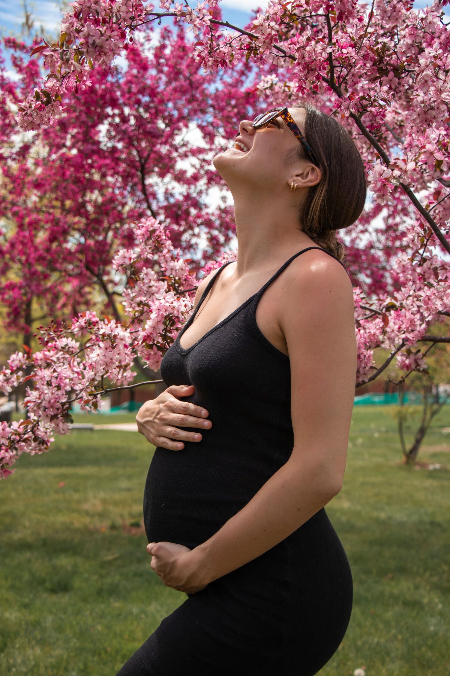 A maternity portrait under blooming pink cherry blossoms in springtime.