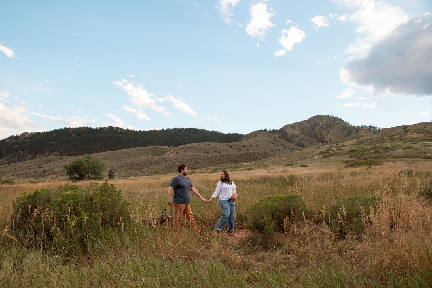 A series of panoramic photos showing people hiking through scenic golden grasslands with mountains in the background.