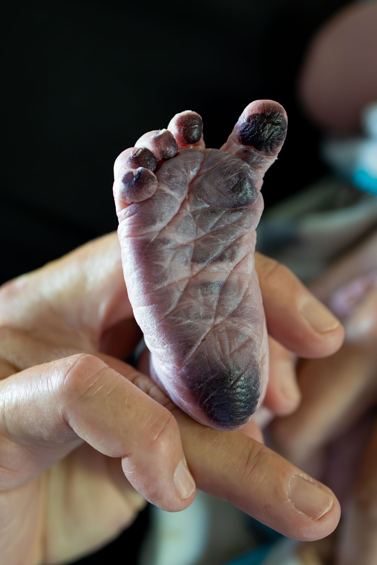Close-up of tiny infant foot being gently held by caring hands. Wichita newborn photographer in-home session