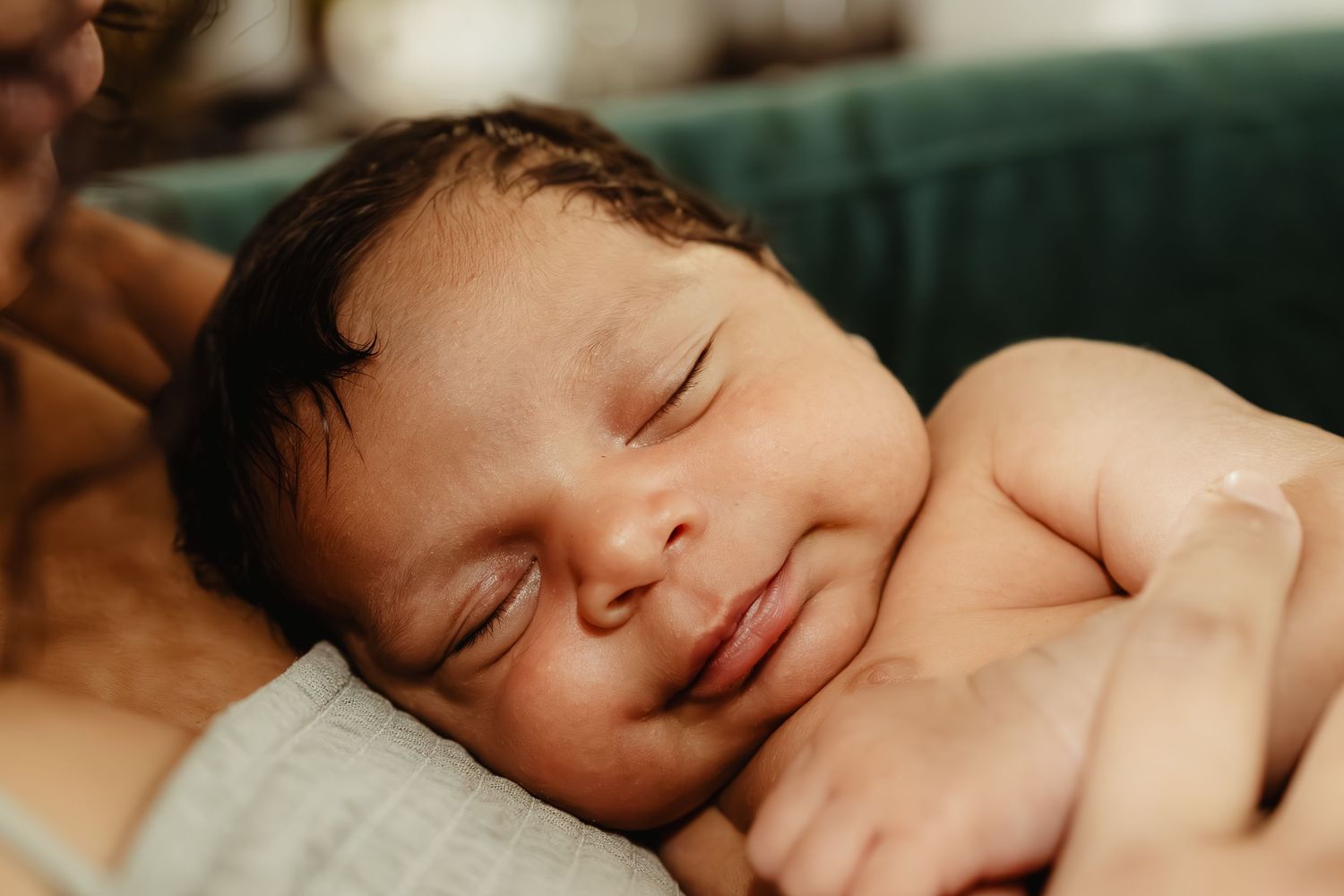 Peaceful newborn sleeping soundly in natural light.