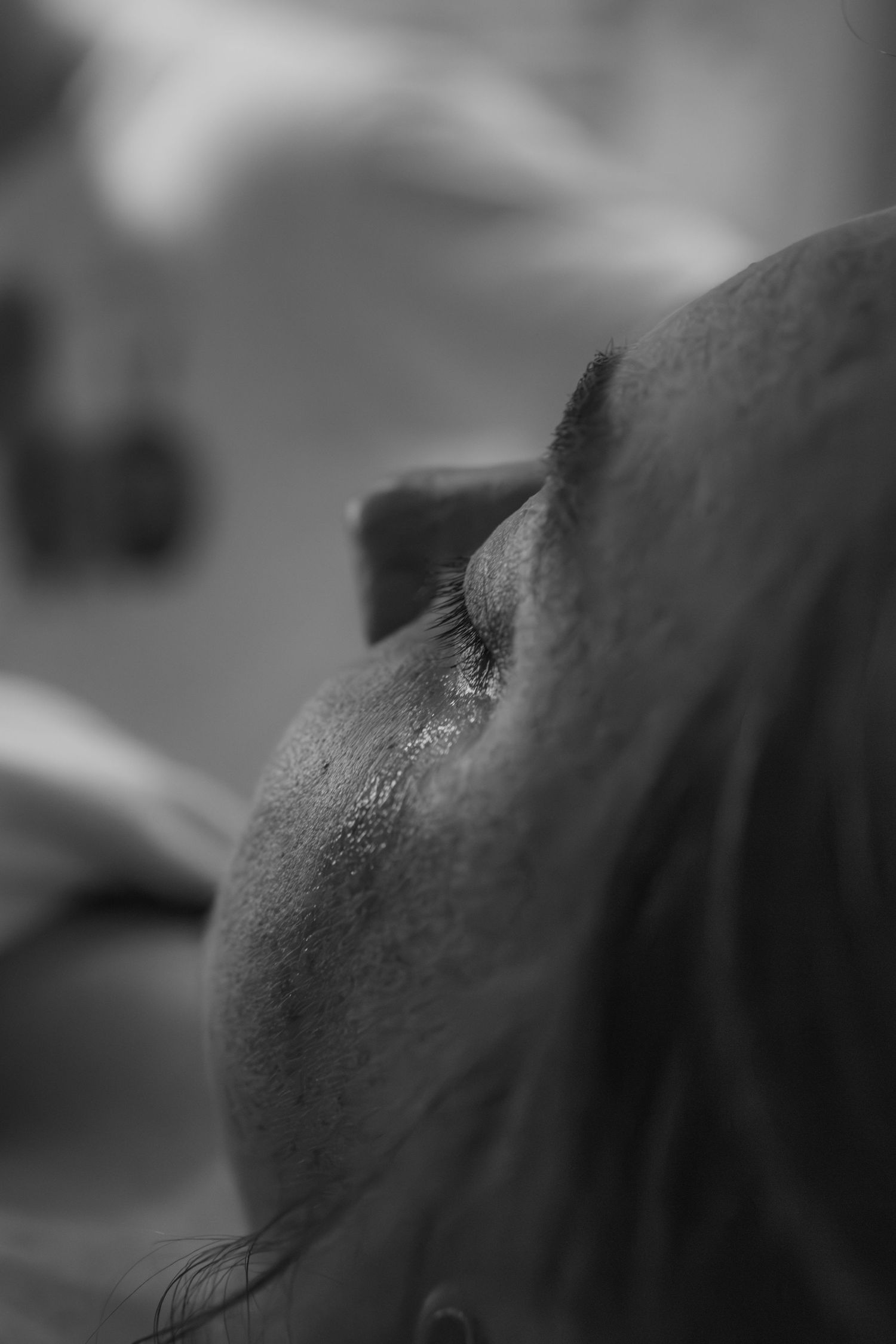 Close-up black and white detail of medical equipment in soft focus. Birth photography in Wichita Kansas