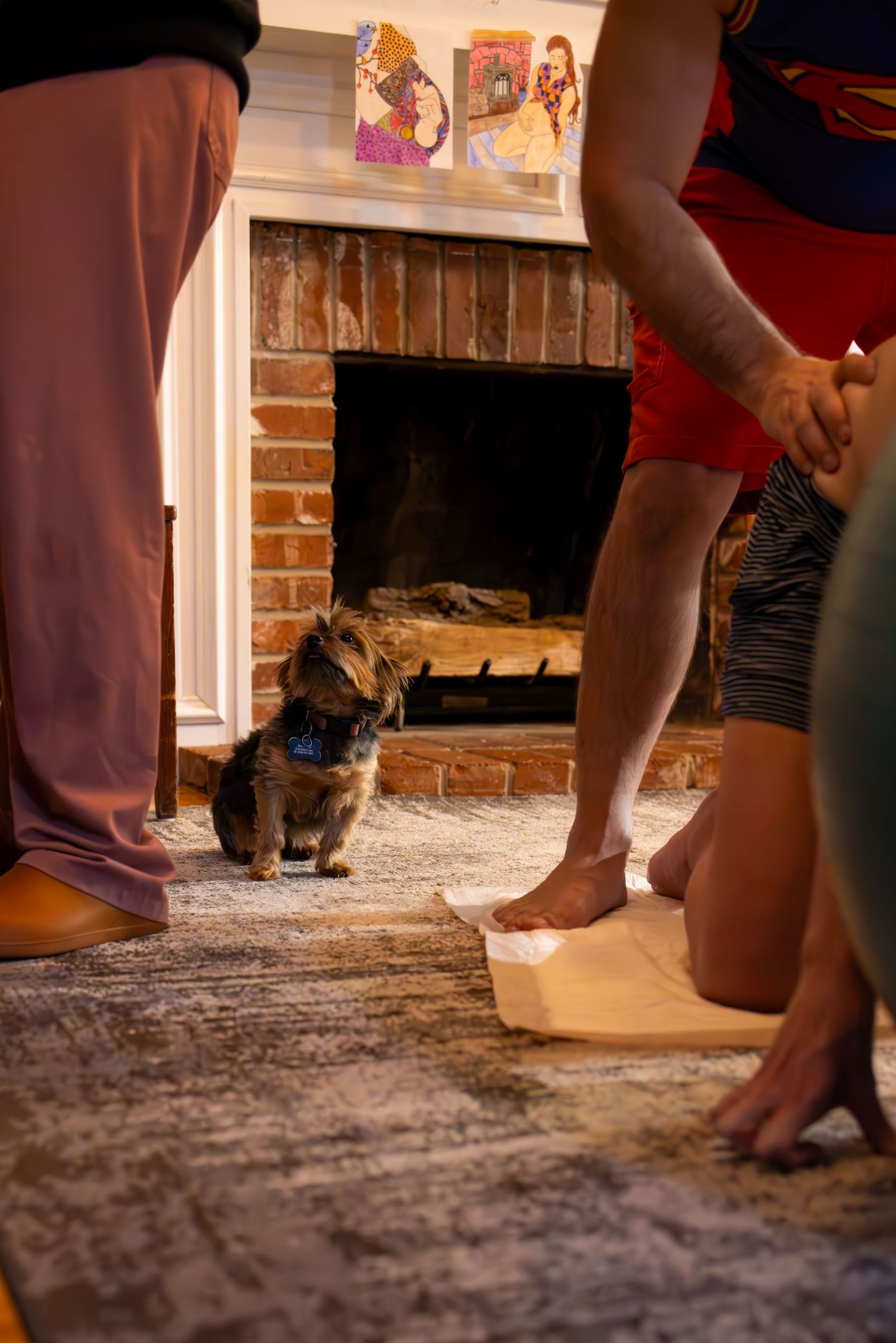 Low angle view of feet and a cat on a carpeted floor near a brick fireplace.