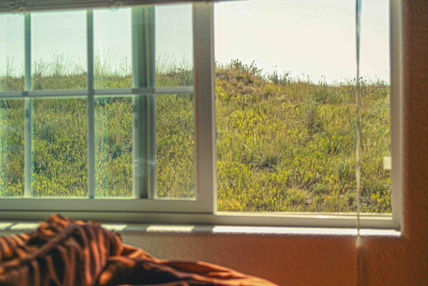 Sunlit view of grassy hillside through vintage window panes.