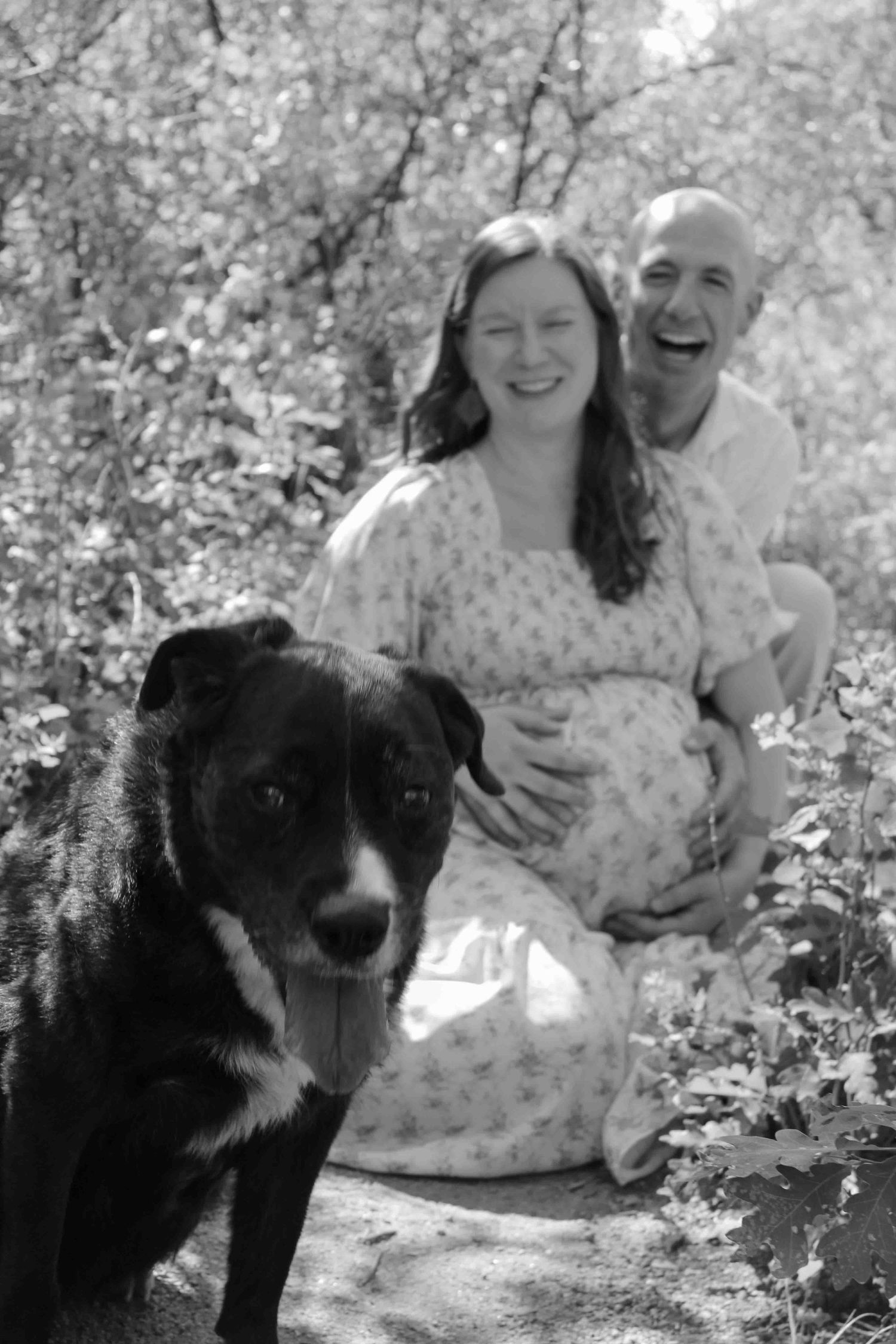 Black and white photo of a pregnant woman and bald man smiling outdoors with a black dog in the foreground.