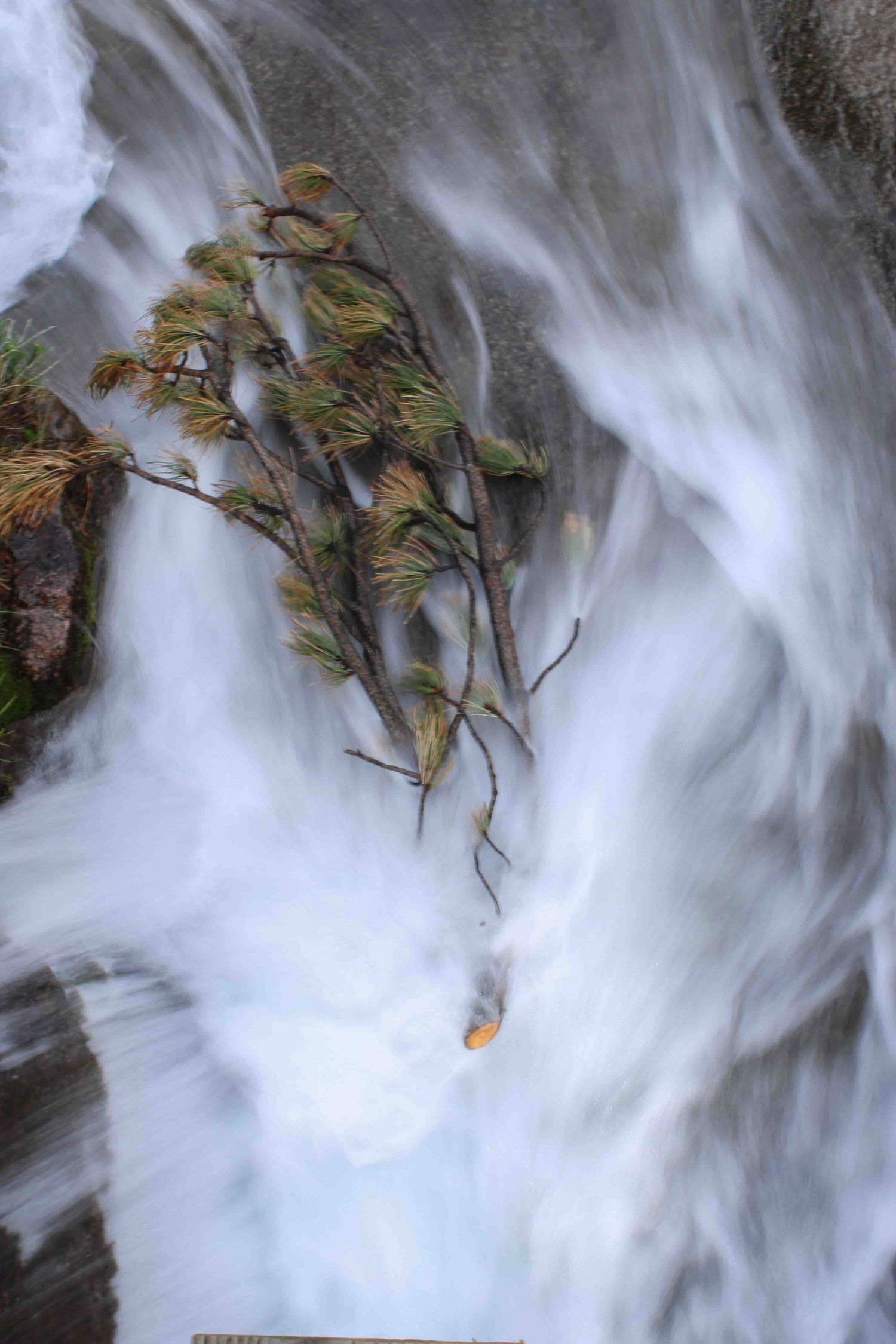A dynamic waterfall cascades past green foliage creating a misty white motion effect.