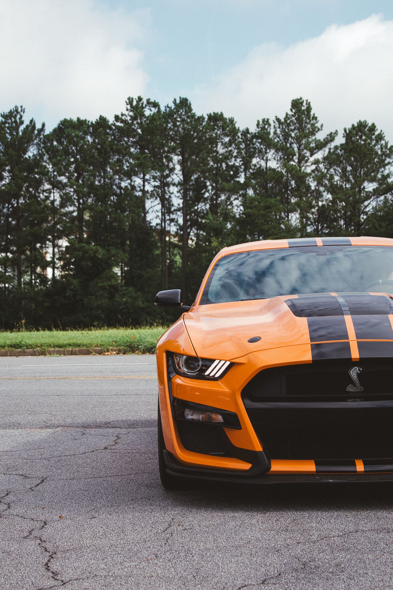 Orange Ford Mustang GT500 with black racing stripes on asphalt with pine trees in background.