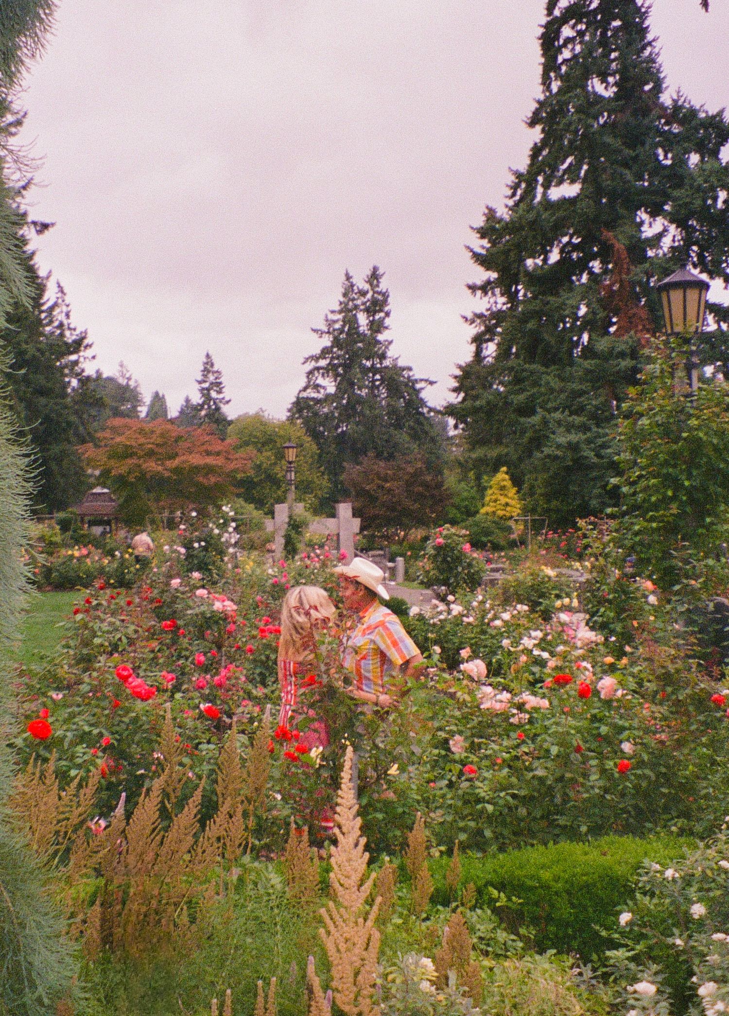 Film photograph of couple during a trip to the Rose Garden in Portland Oregon