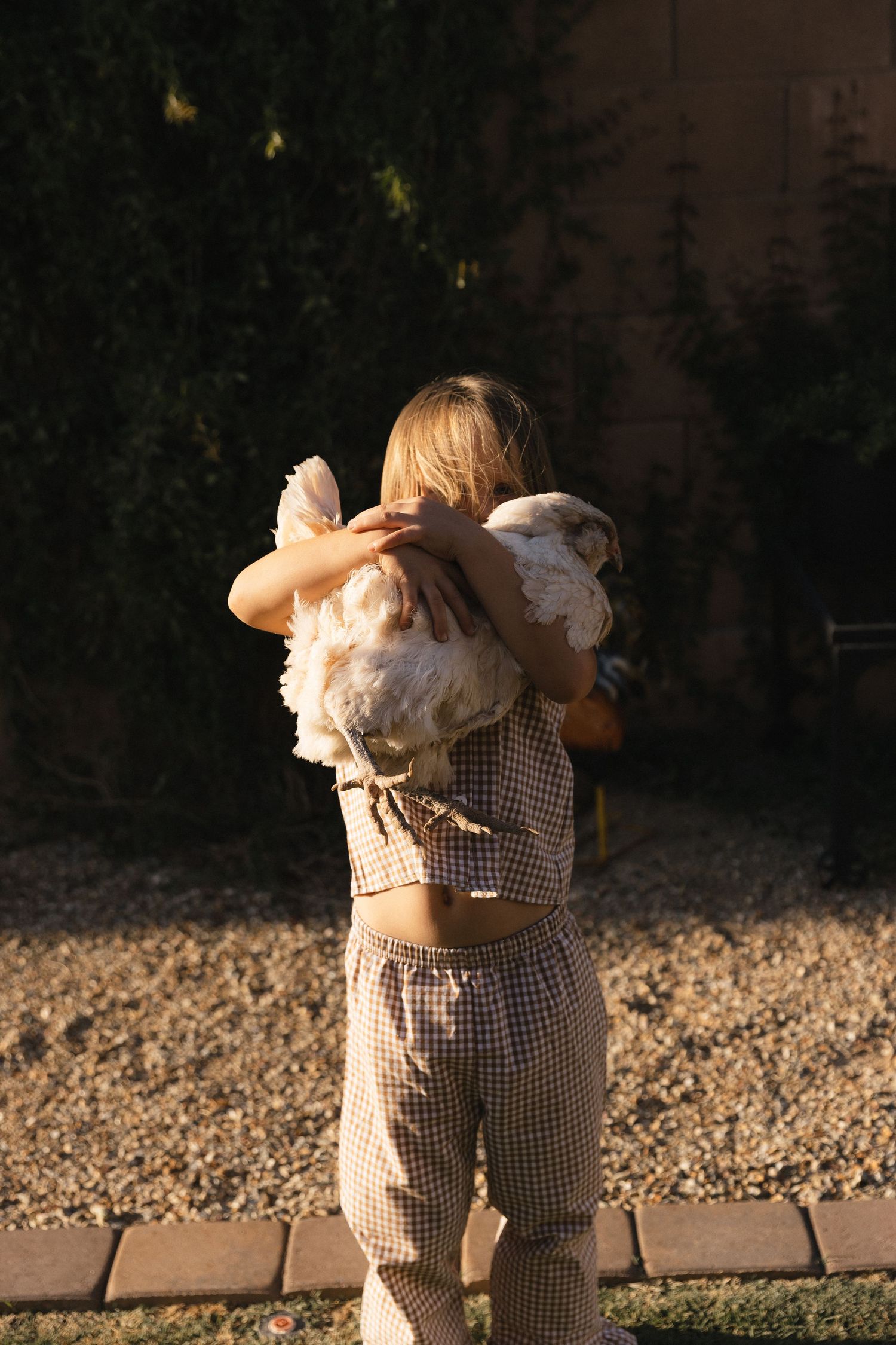 Child in plaid outfit holding a white chicken in a sunny backyard garden setting.