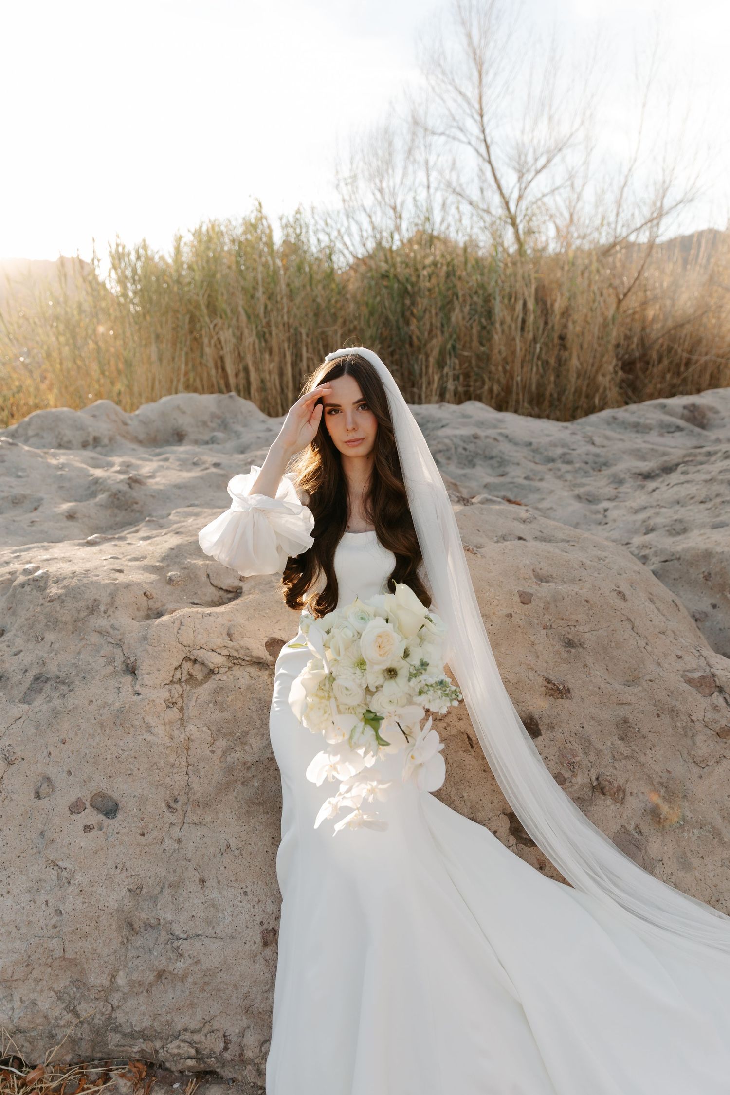 A bride in a flowing white wedding dress and veil poses gracefully against a desert landscape at sunset.