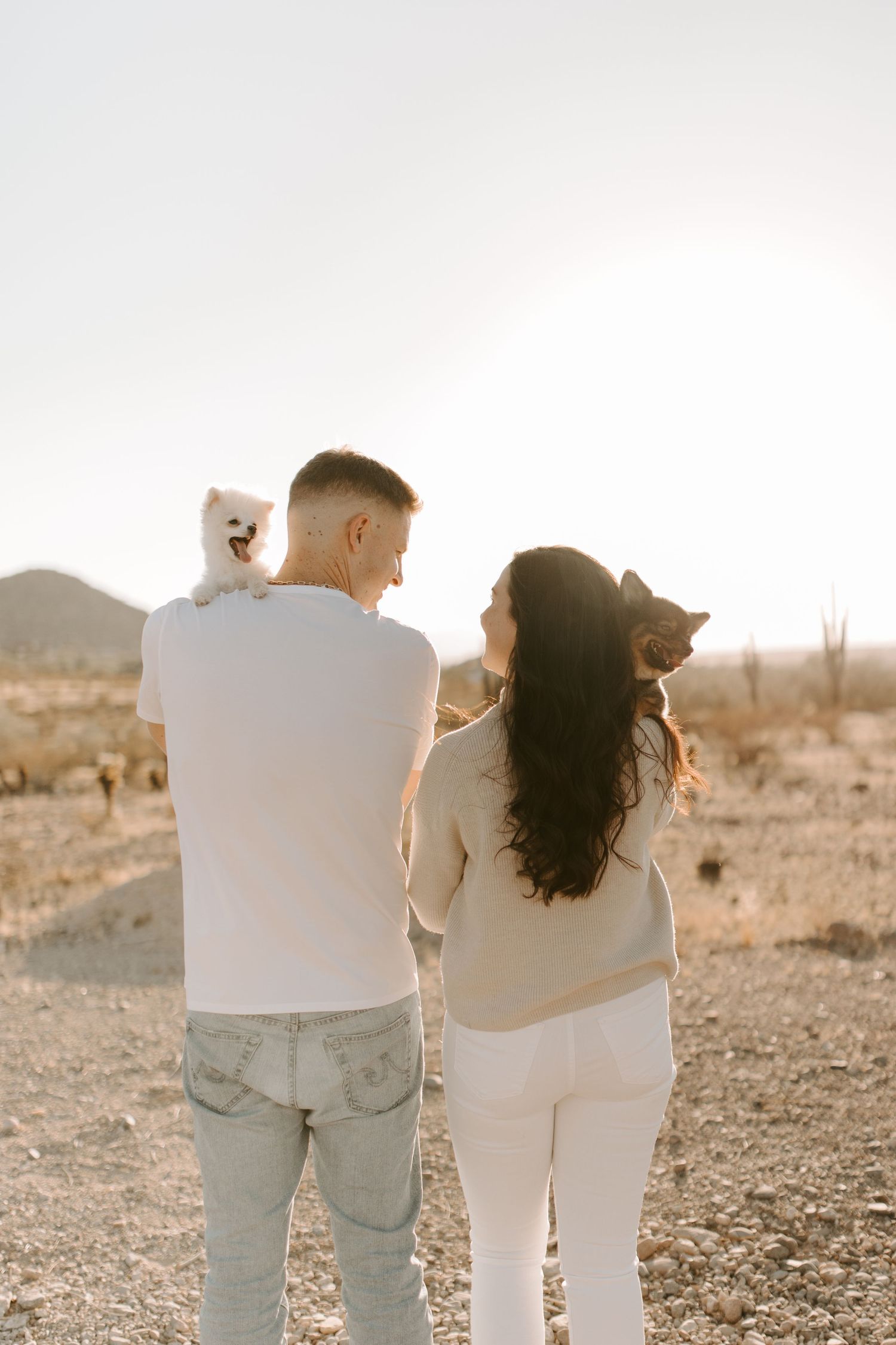 Back view of couple holding pets while standing in desert landscape with cacti.