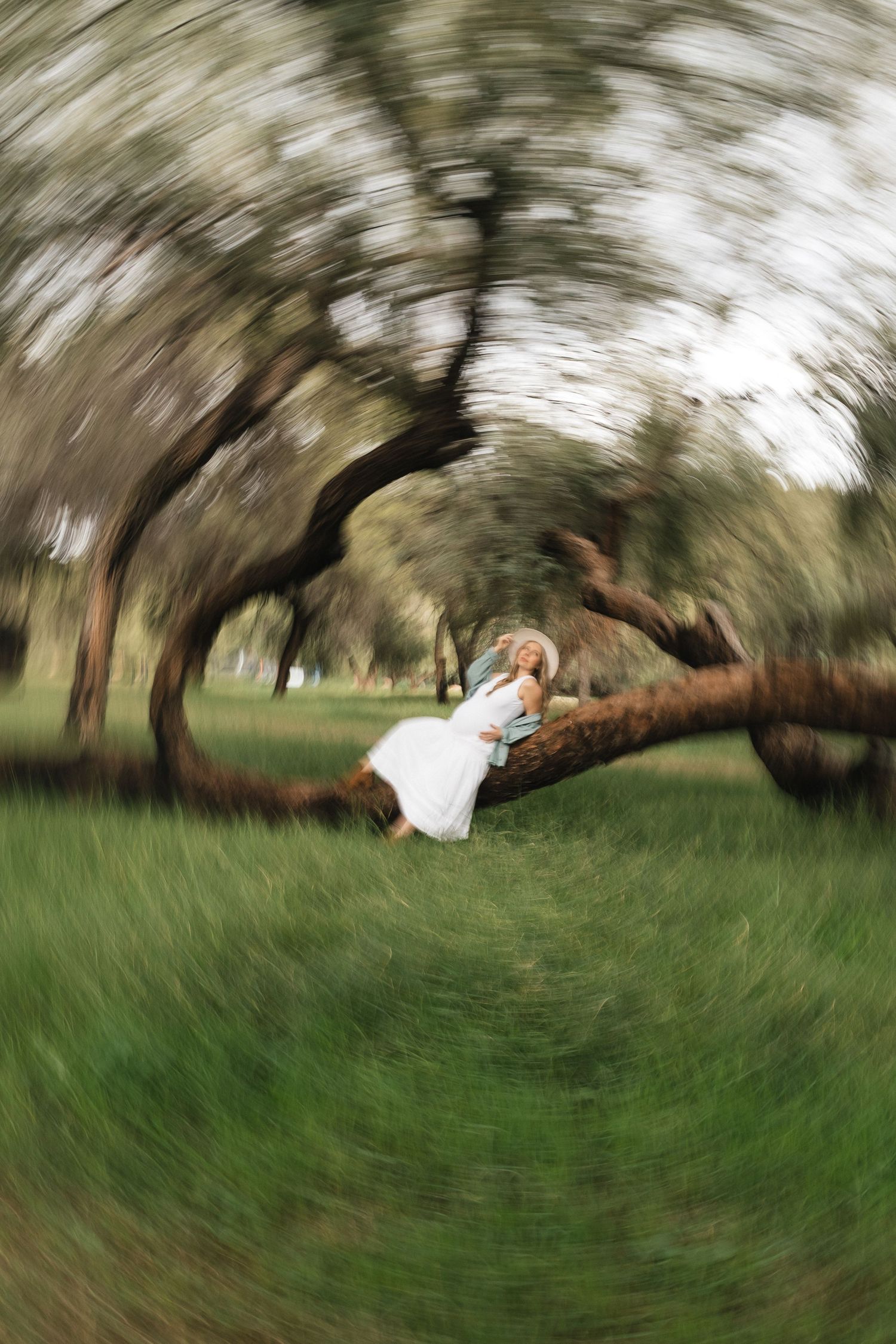 Motion blur sequence of a person in white dress spinning under a leaning tree in a grassy field.