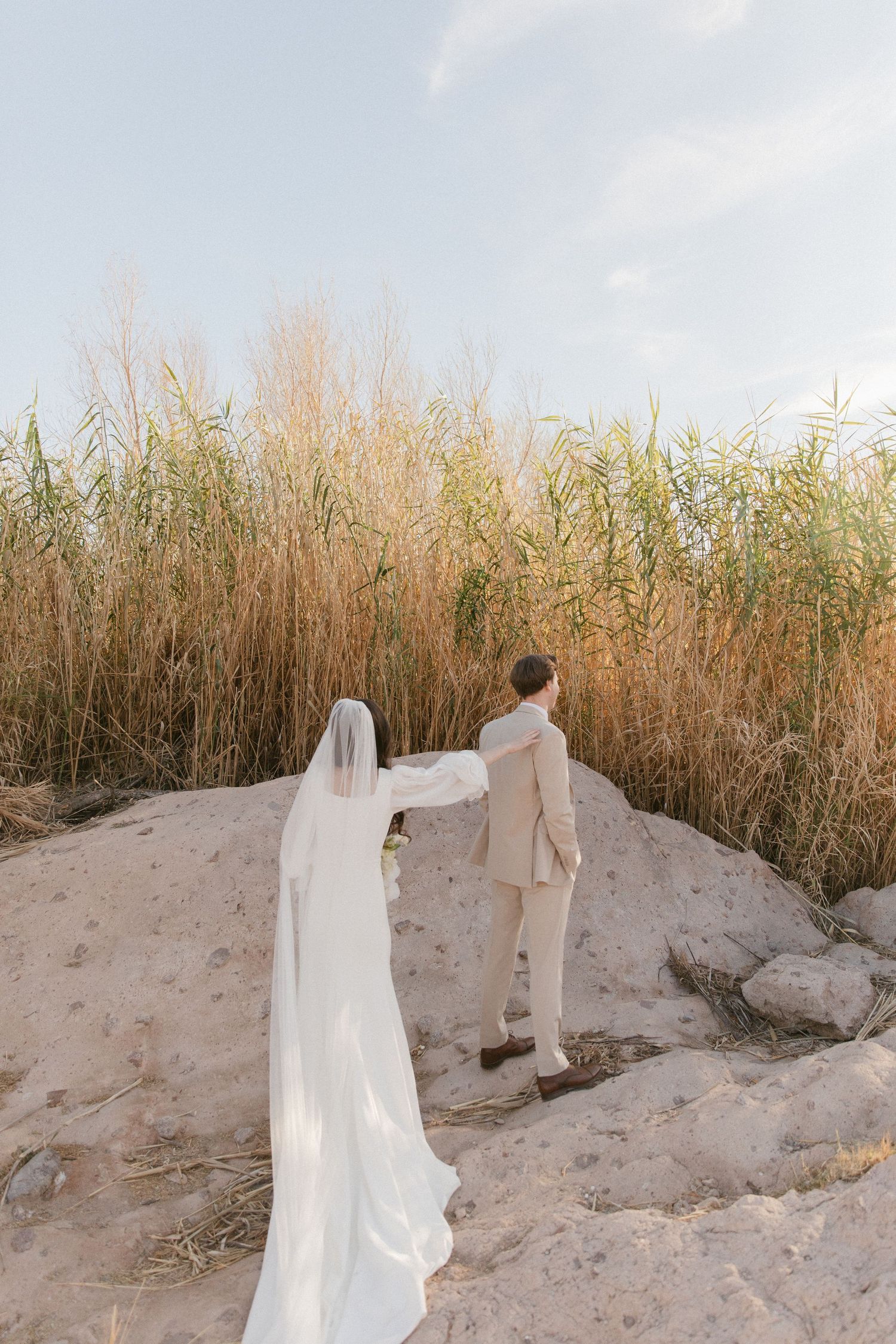 Wedding couple standing on rocky terrain with tall reeds in background.