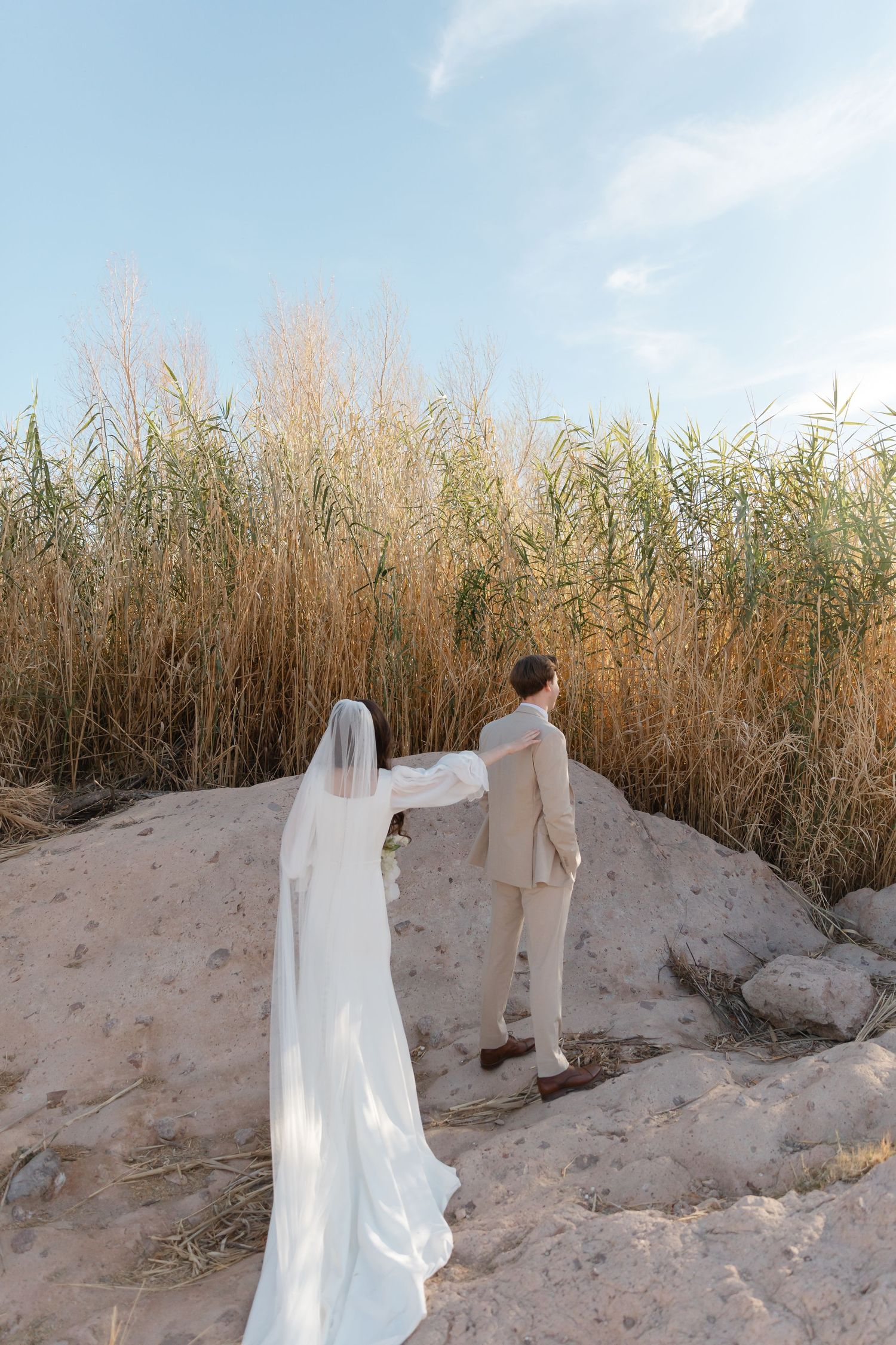 A bride in a flowing white dress leads someone in a beige suit along rocky terrain with tall reeds in the background.
