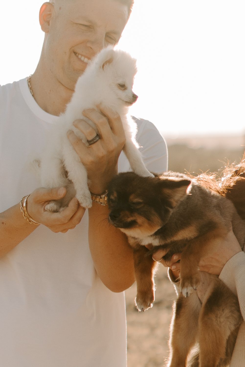 A person in white holds a small white puppy while a darker dog looks up at them.