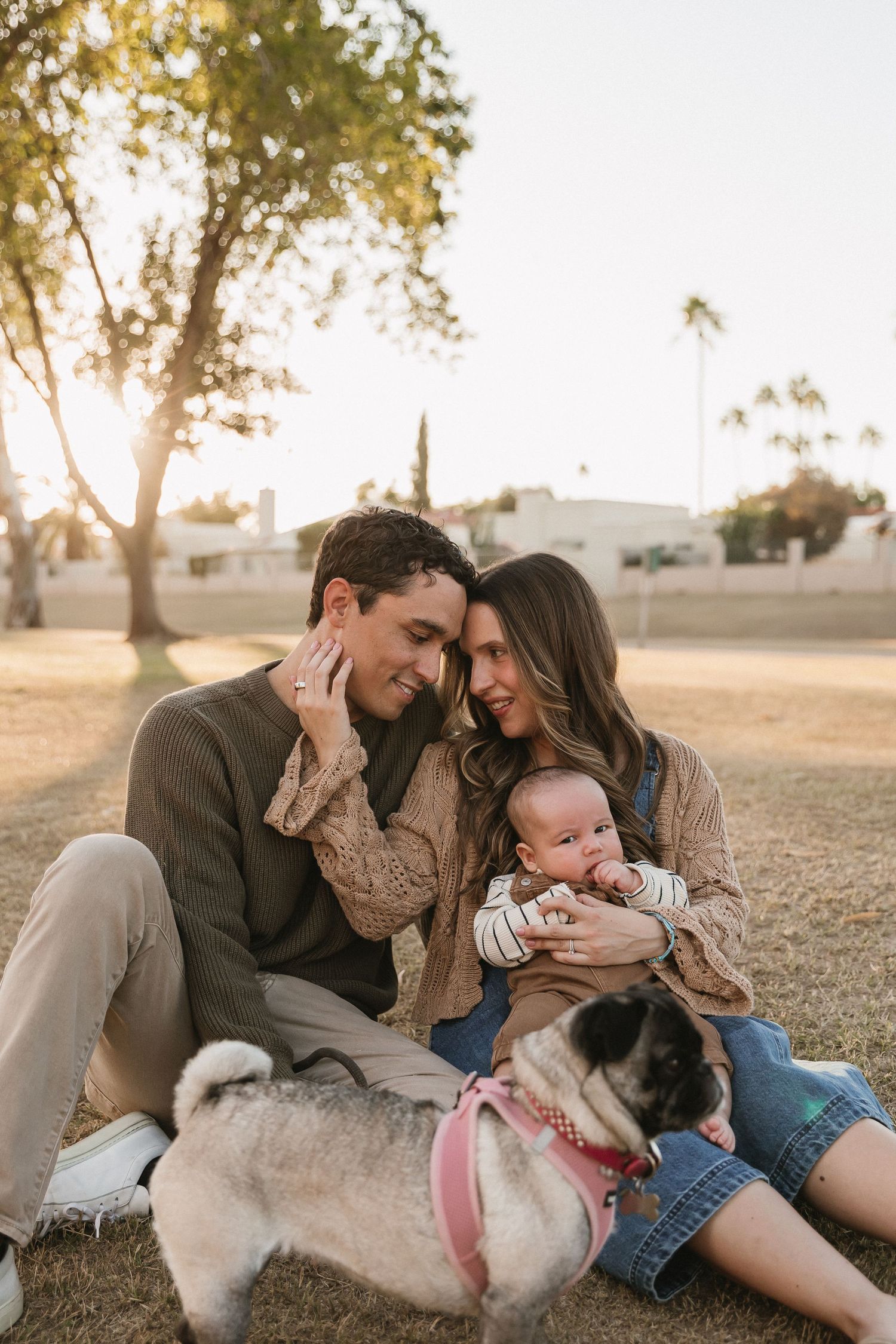 A loving family shares tender moments together while relaxing outdoors in a field during golden hour.