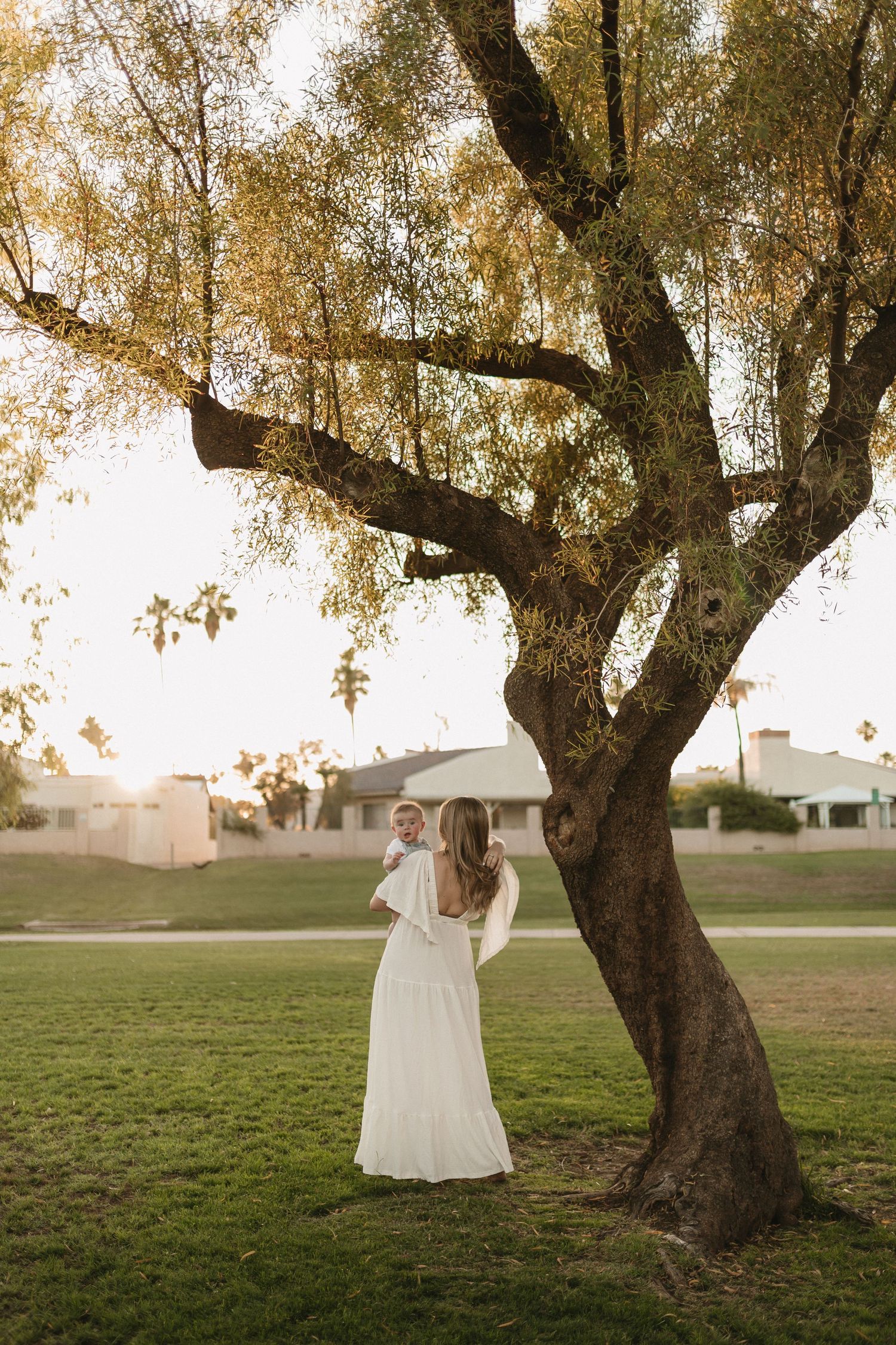 A person in a flowing white dress stands gracefully beneath a large, gnarled olive tree in a grassy field at sunset.