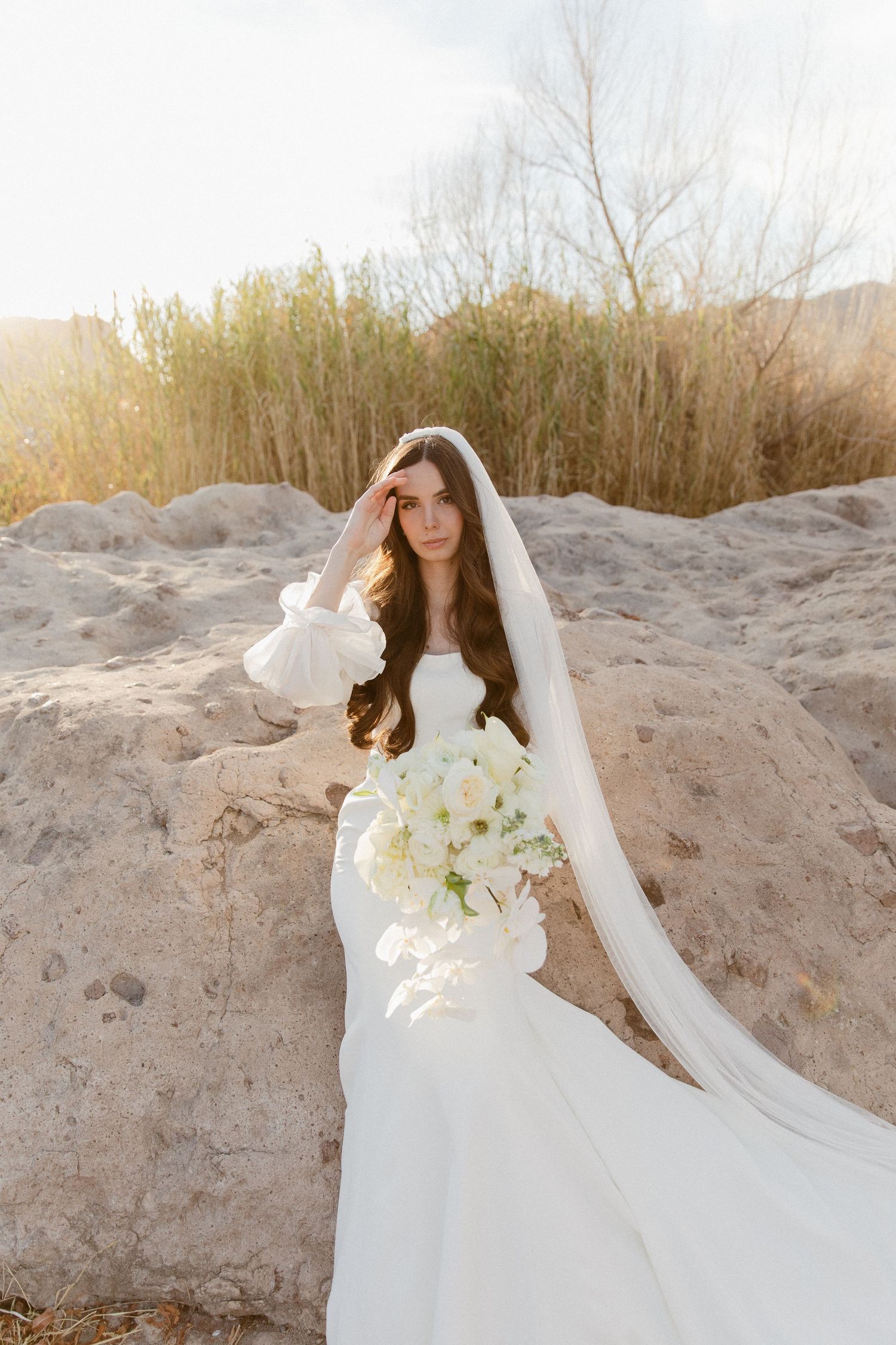 Bride in white gown with long veil poses against sunlit desert landscape.