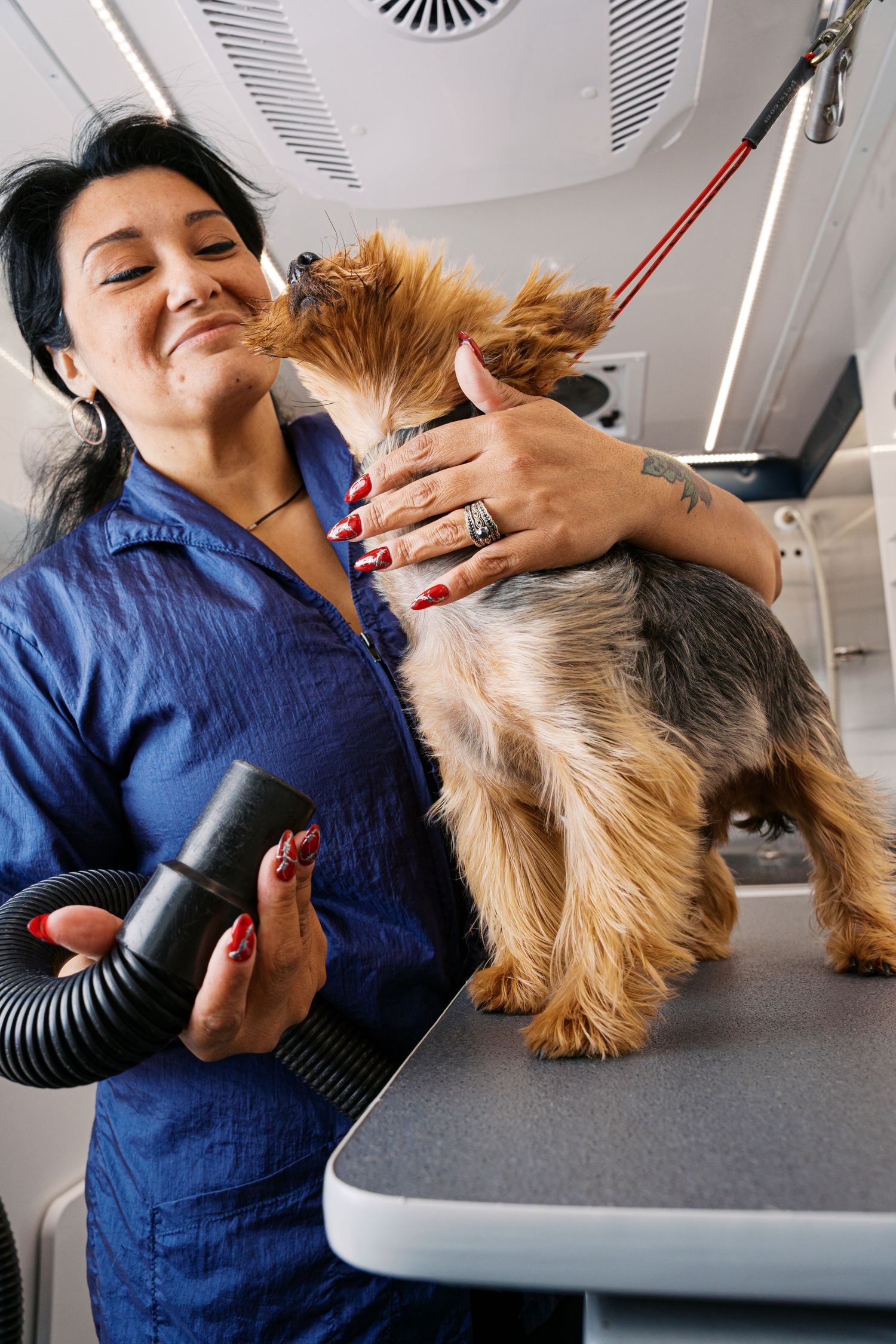 Professional groomer in blue shirt uses clippers to trim Yorkshire Terrier's fur on grooming table.