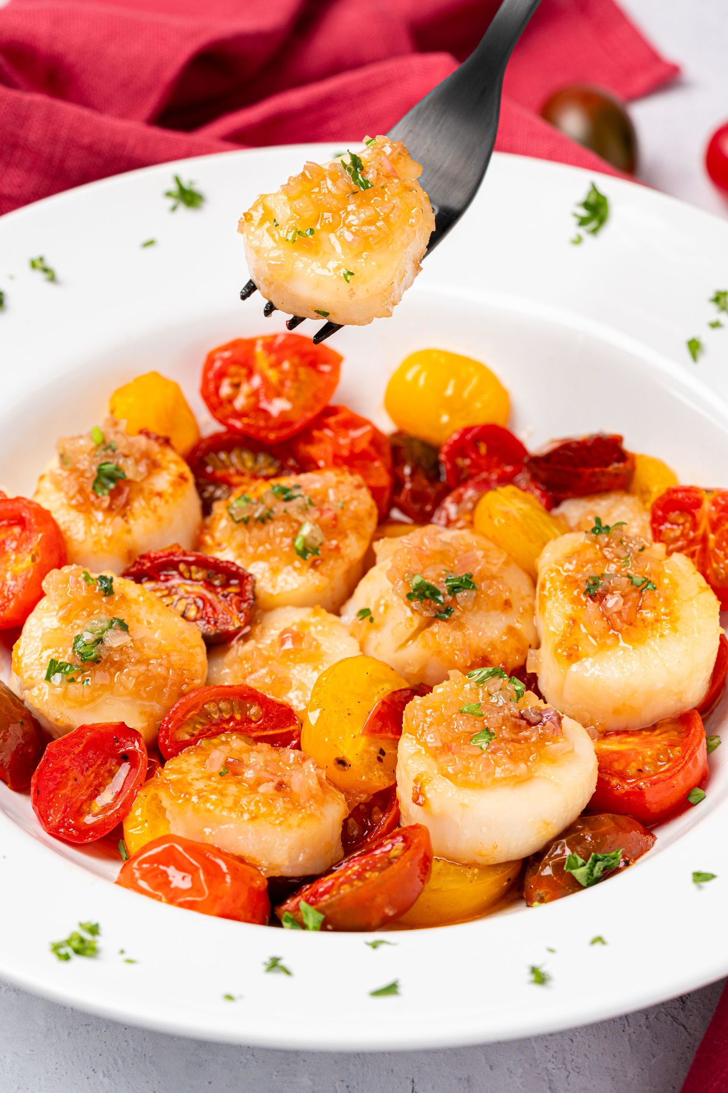 Seared sea scallops with colorful cherry tomatoes and fresh herbs served on a white plate with a black fork.