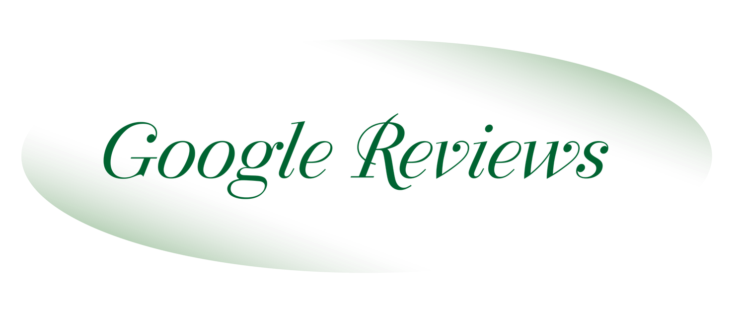 Green gradient text reading 'Google Reviews' in an elegant script font on white background.