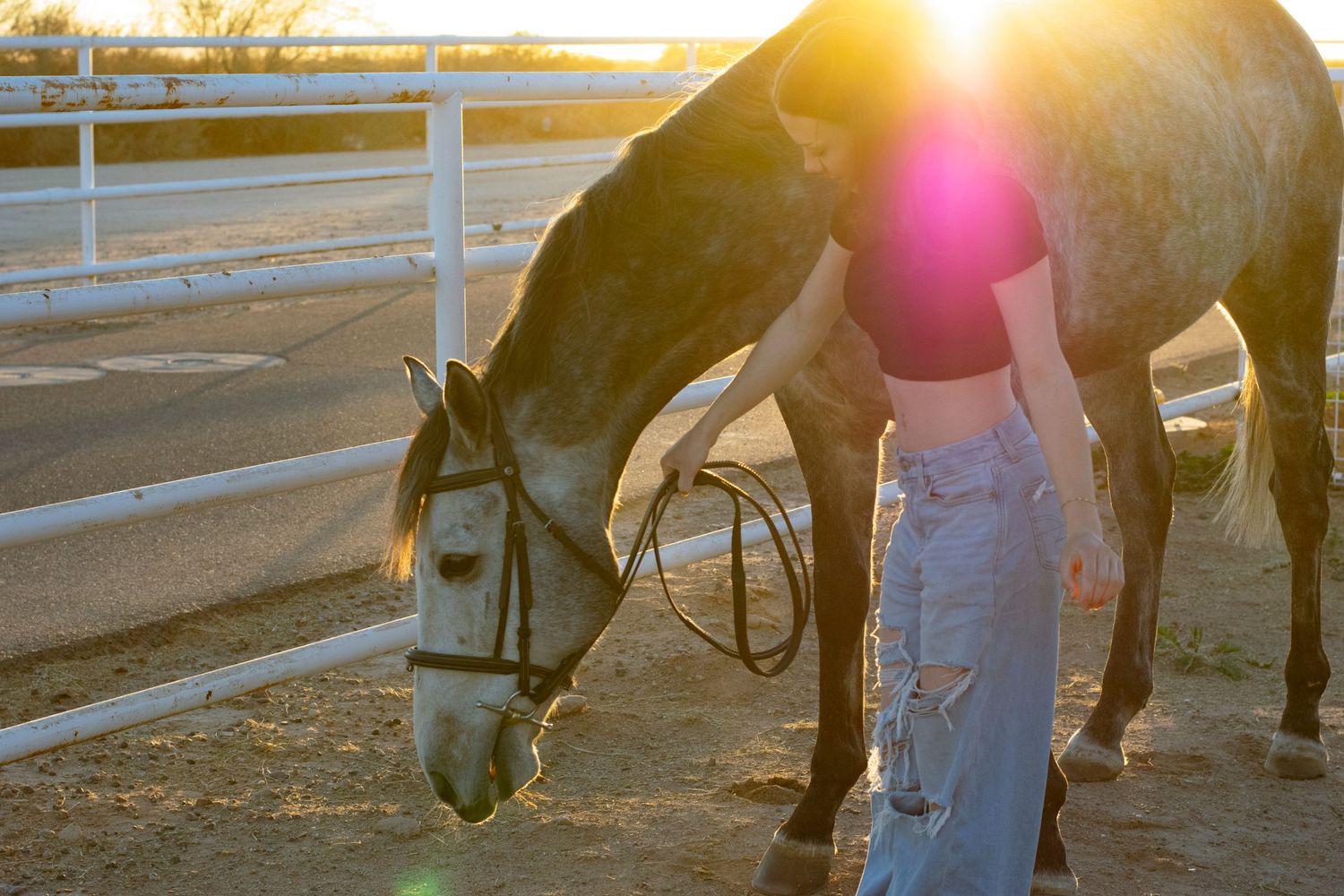 Horse grazing beside handler during vibrant sunset at stable.