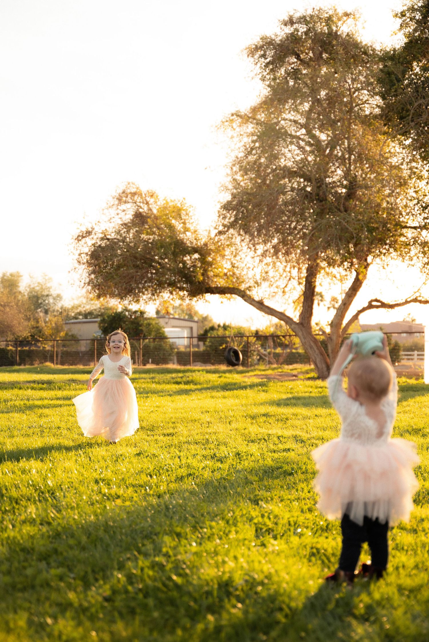 Two young girls in pink tutus play in a sunny green yard at golden hour with a large tree backdrop.